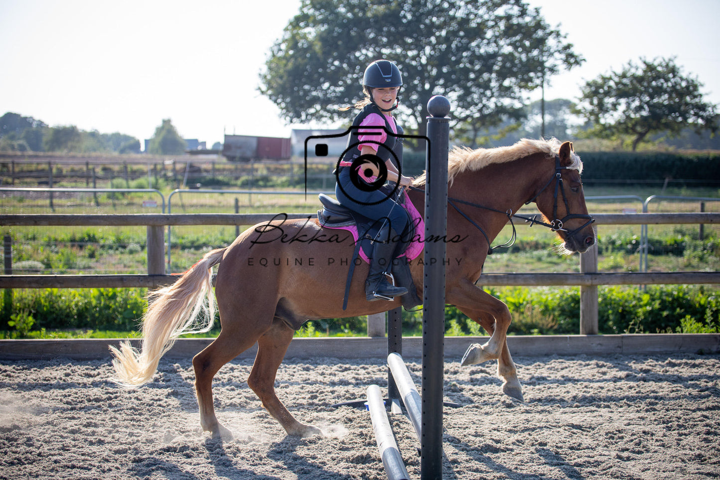 Home Farm Clear Round Jumping- 29th July 2026