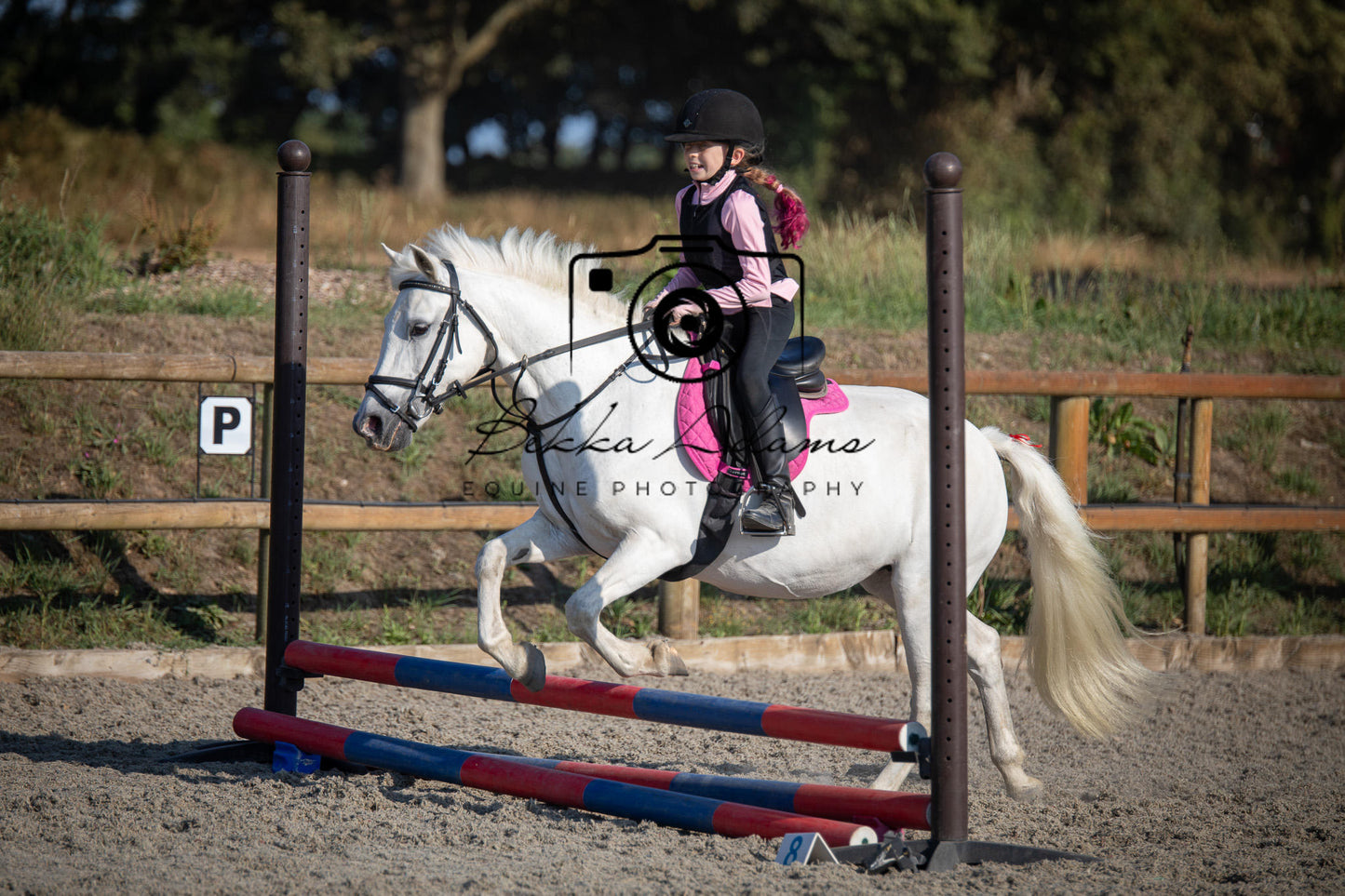 Home Farm Clear Round Jumping- 29th July 2026