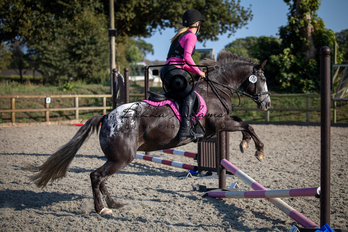 Home Farm Clear Round Jumping- 29th July 2026