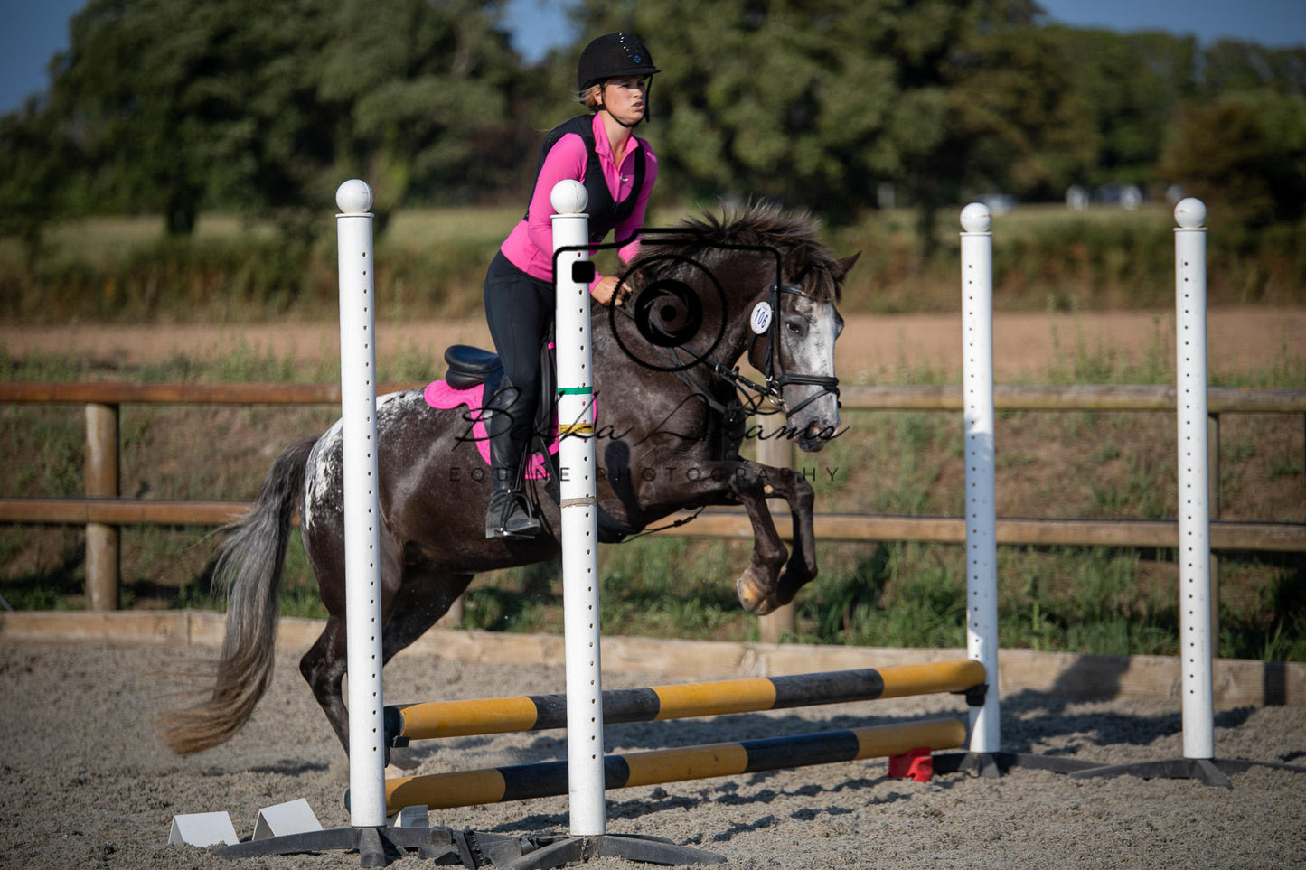 Home Farm Clear Round Jumping- 29th July 2026