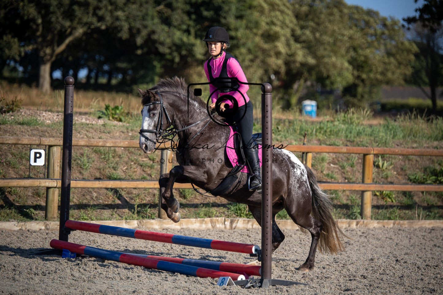 Home Farm Clear Round Jumping- 29th July 2026
