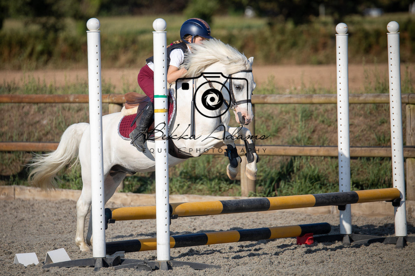 Home Farm Clear Round Jumping- 29th July 2026