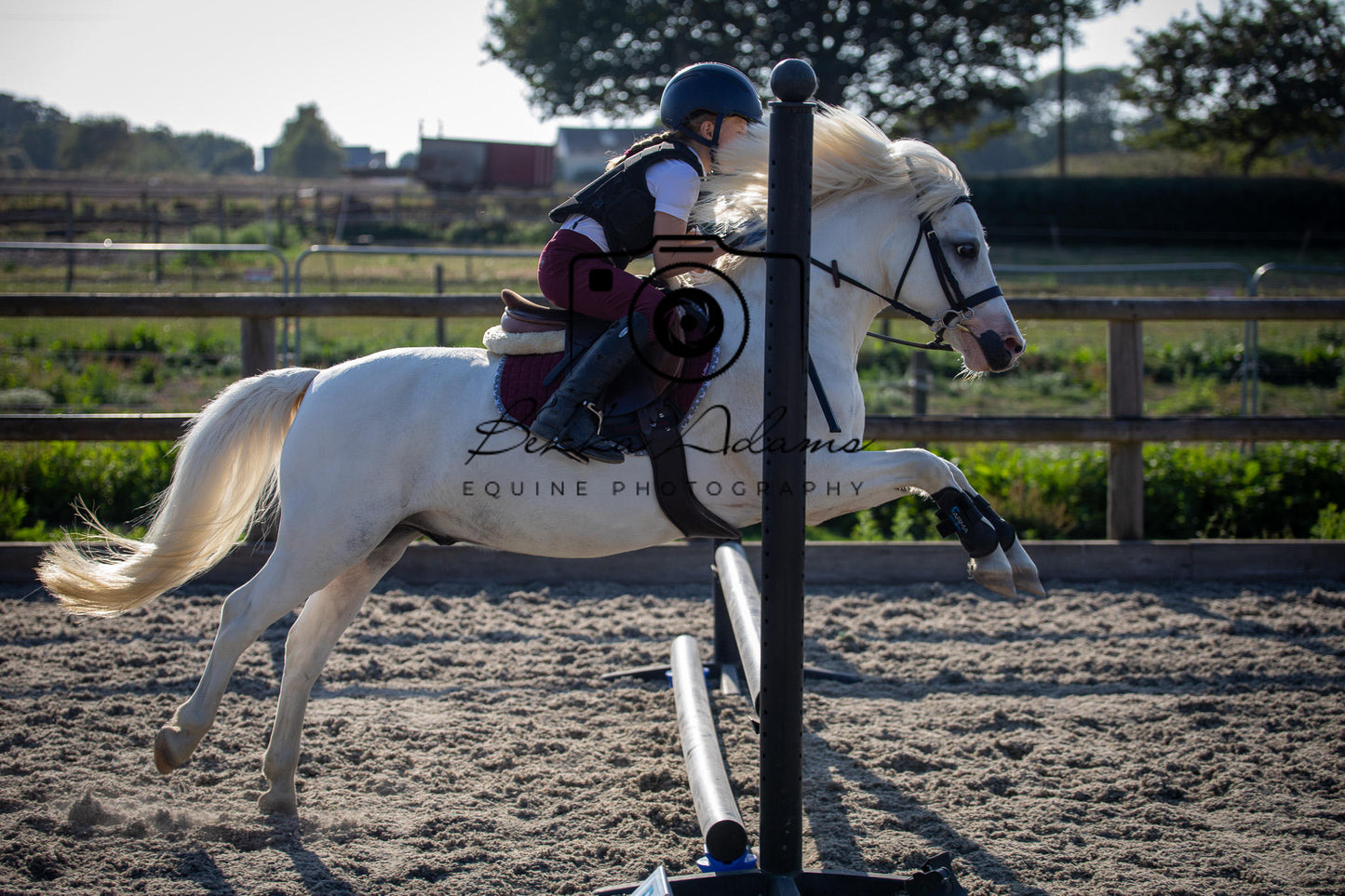 Home Farm Clear Round Jumping- 29th July 2026