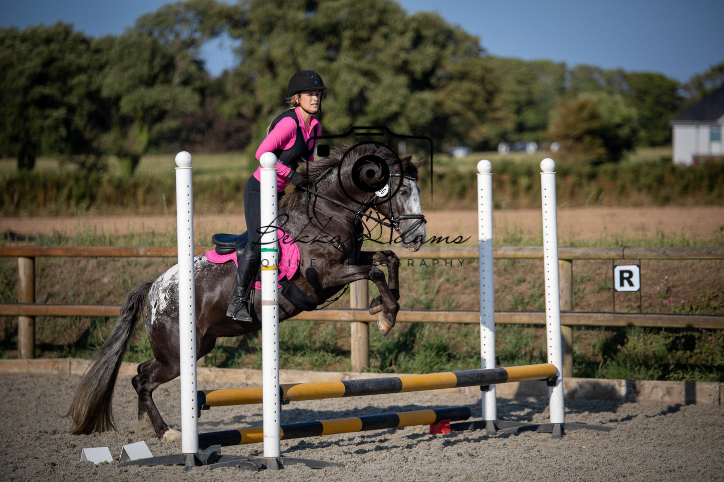 Home Farm Clear Round Jumping- 29th July 2026