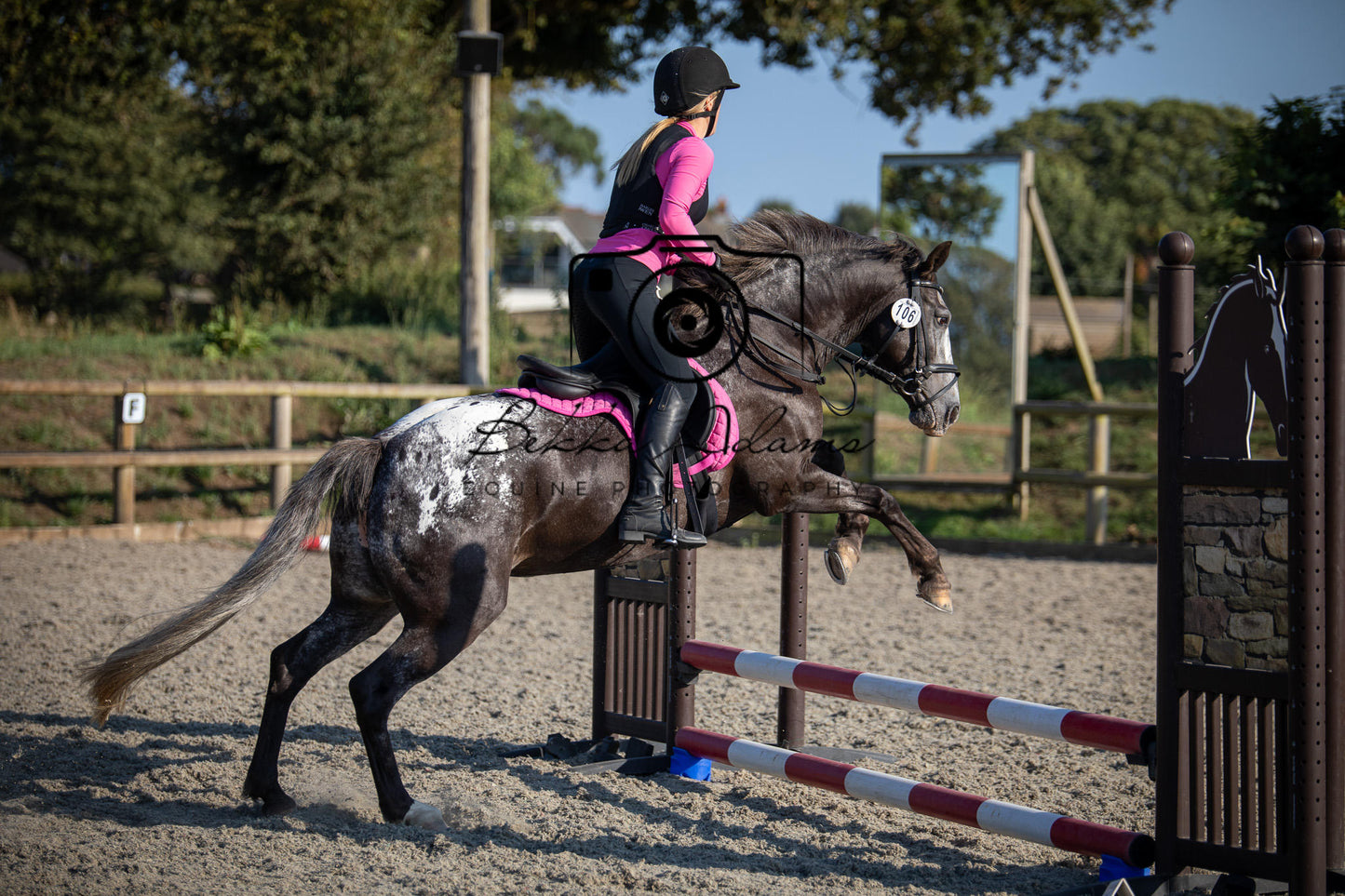 Home Farm Clear Round Jumping- 29th July 2026