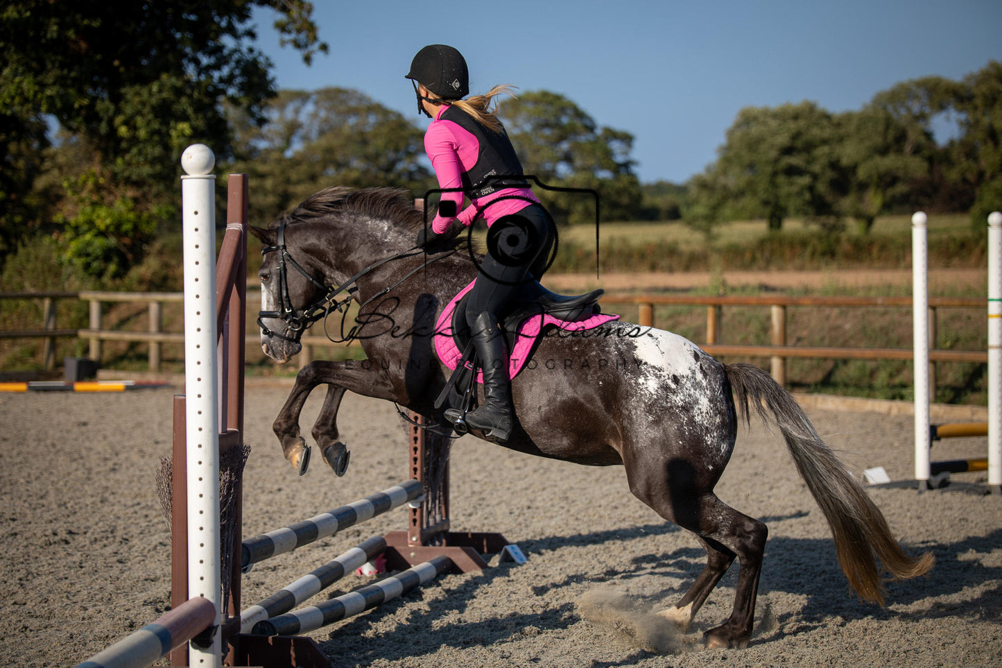 Home Farm Clear Round Jumping- 29th July 2026