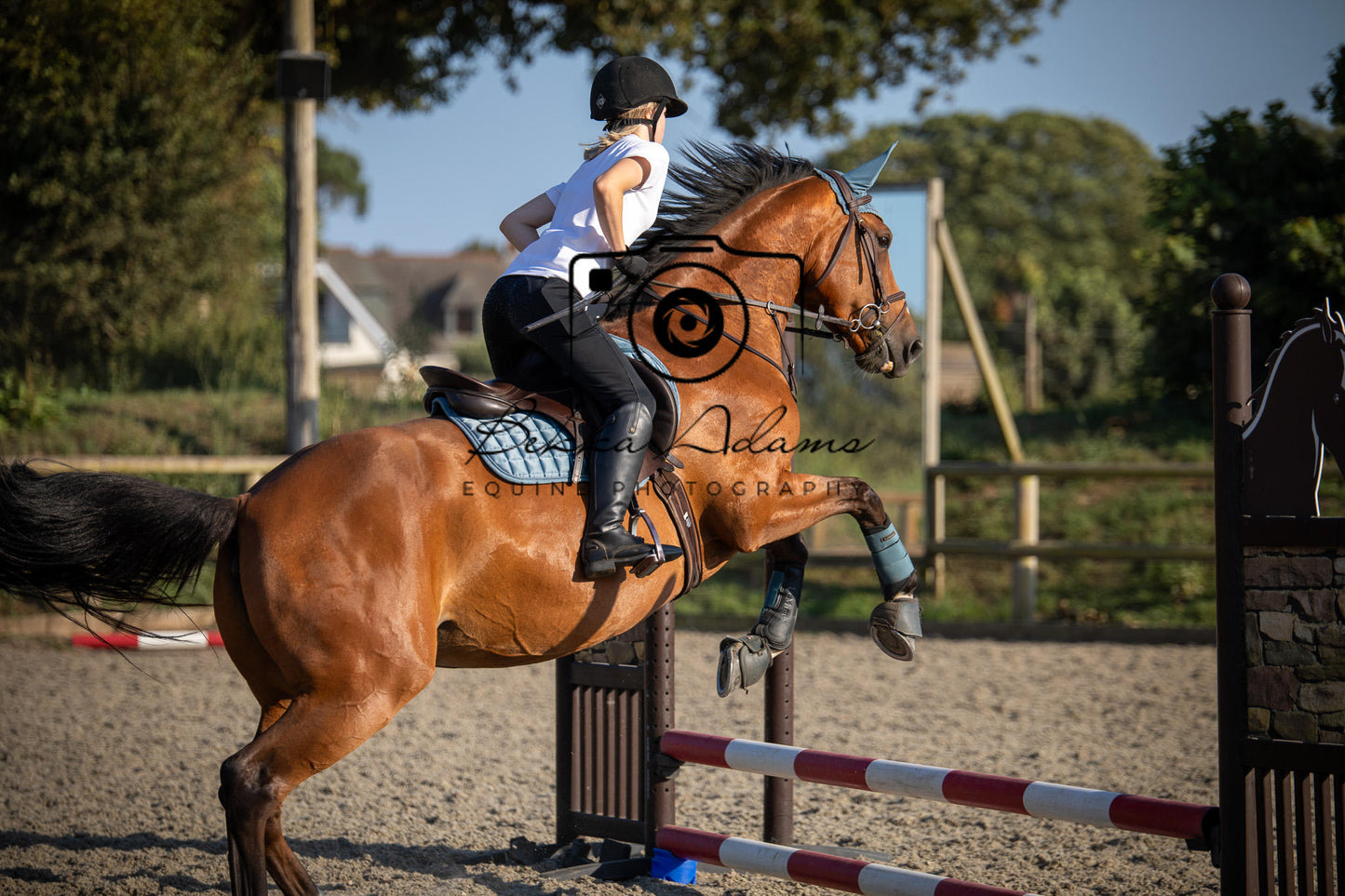 Home Farm Clear Round Jumping- 29th July 2026