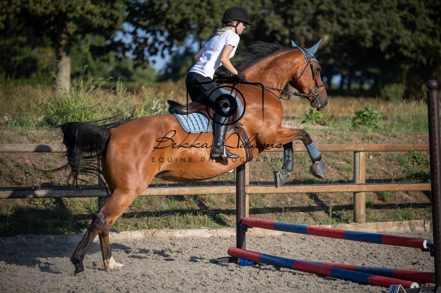 Home Farm Clear Round Jumping- 29th July 2026