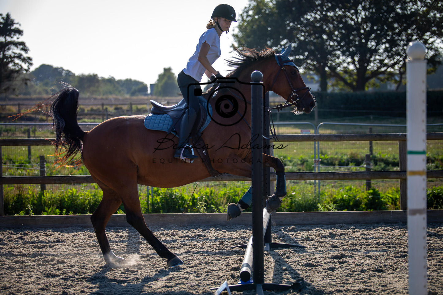Home Farm Clear Round Jumping- 29th July 2026