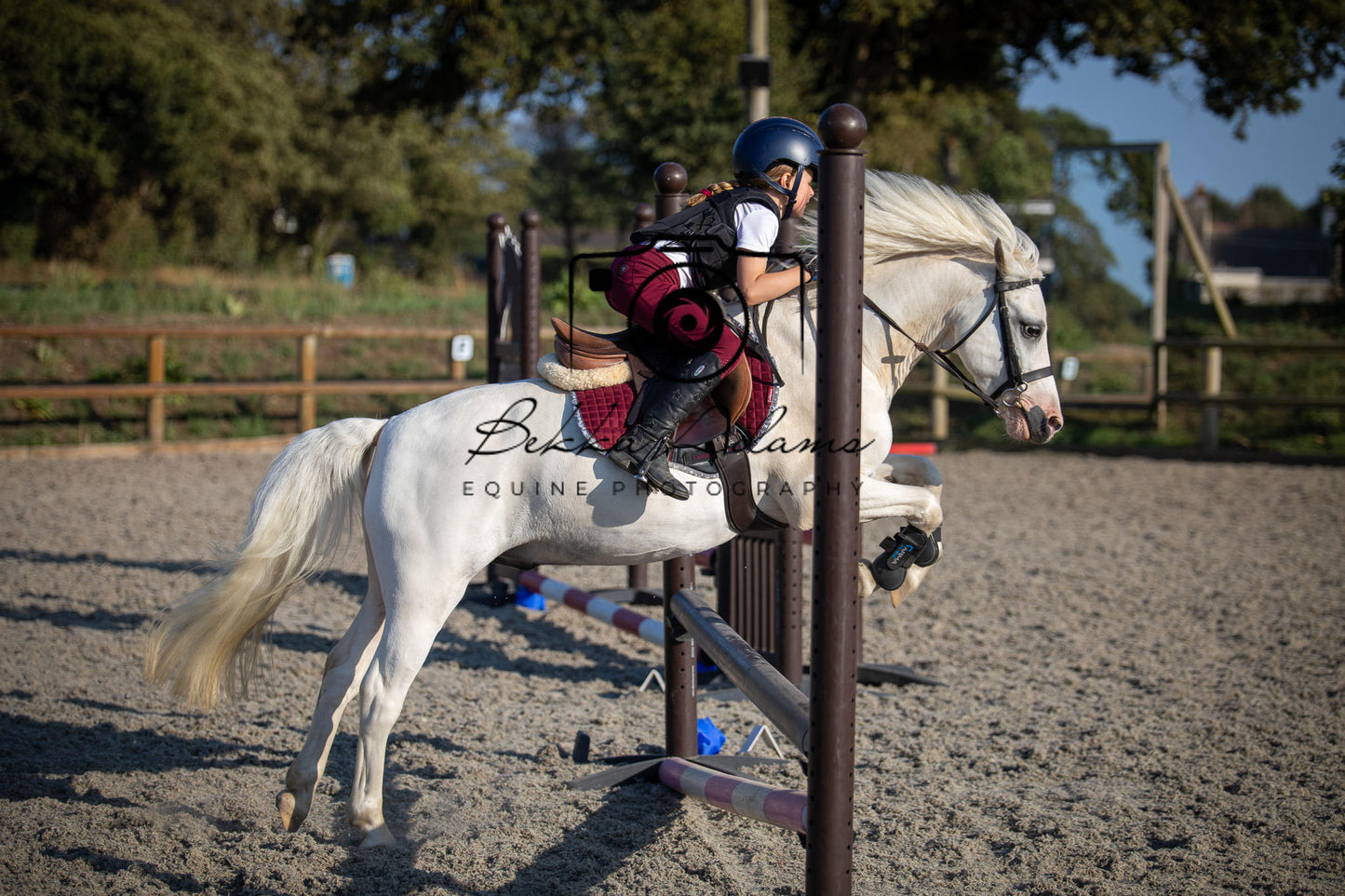 Home Farm Clear Round Jumping- 29th July 2026