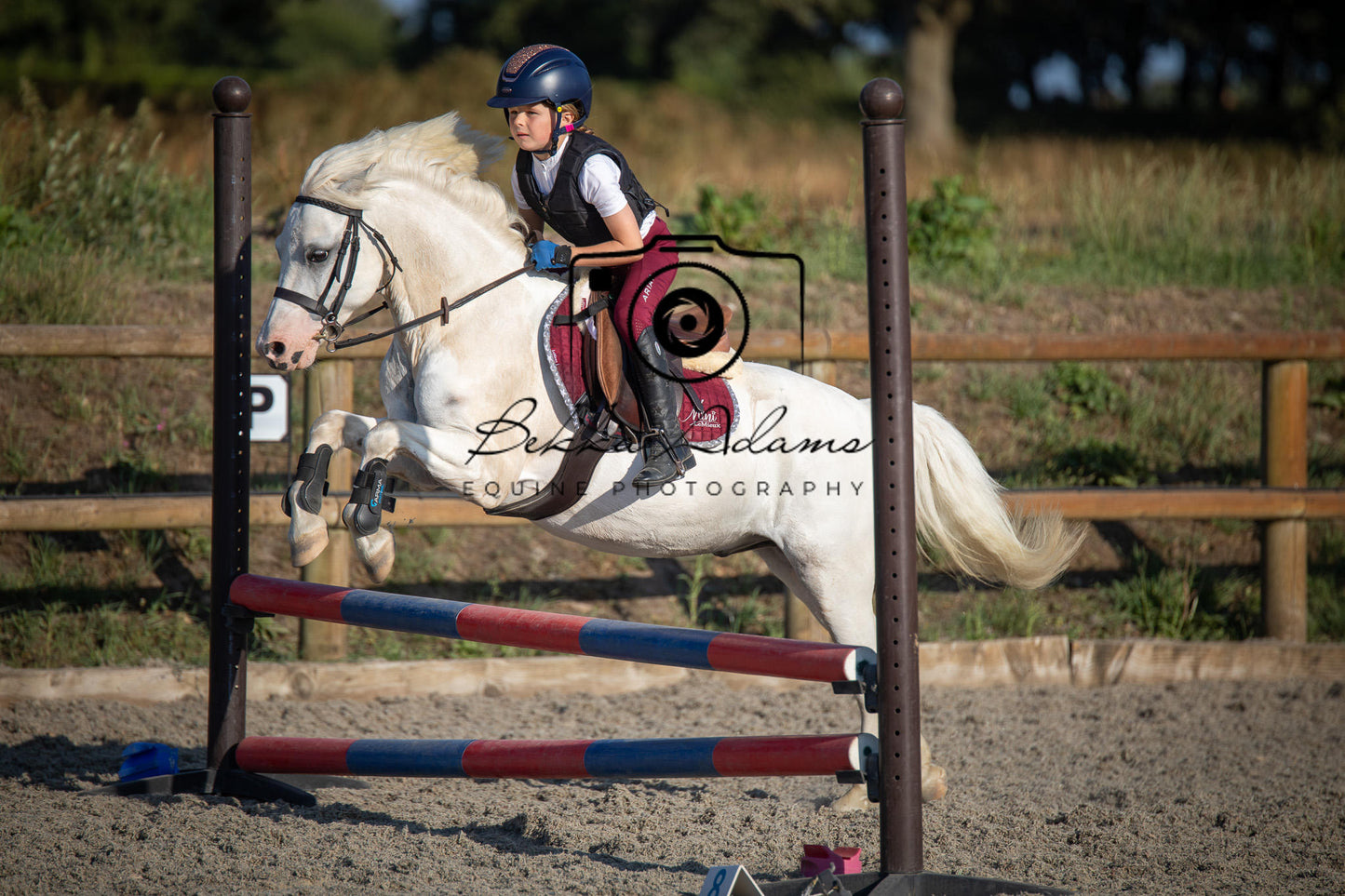 Home Farm Clear Round Jumping- 29th July 2026