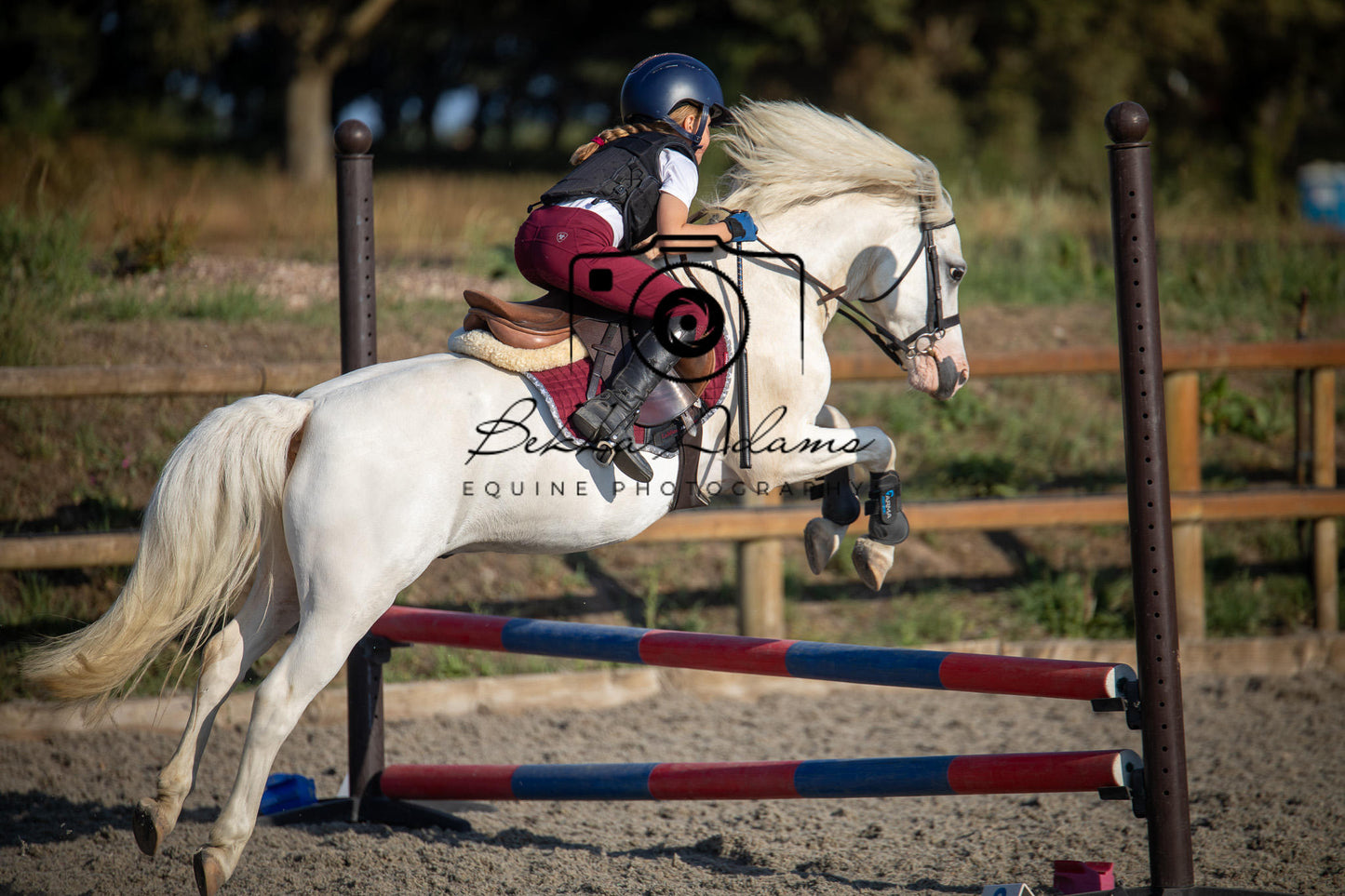 Home Farm Clear Round Jumping- 29th July 2026