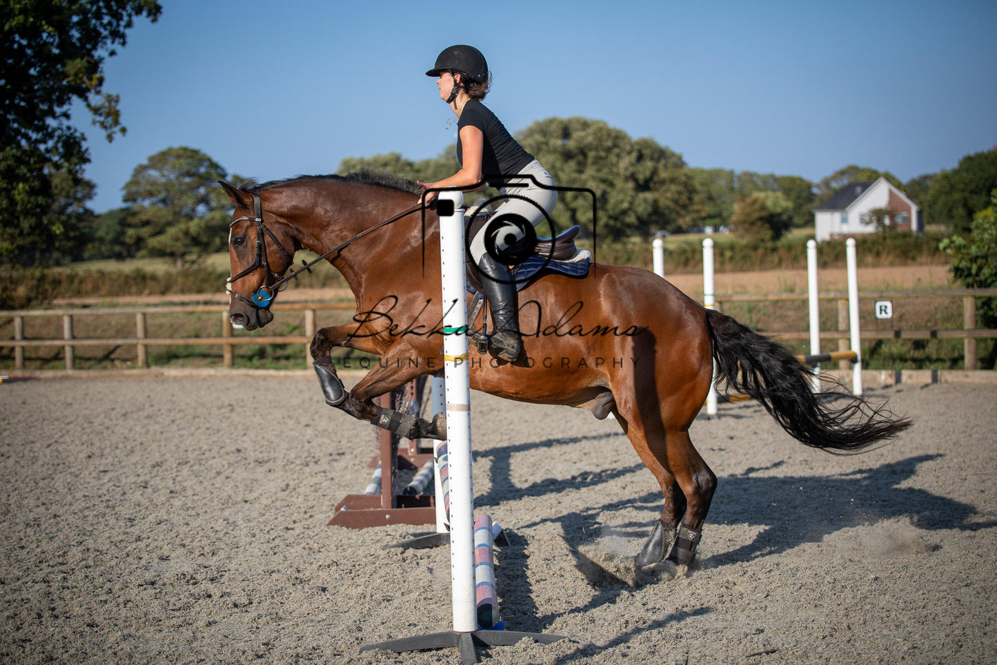 Home Farm Clear Round Jumping- 29th July 2026