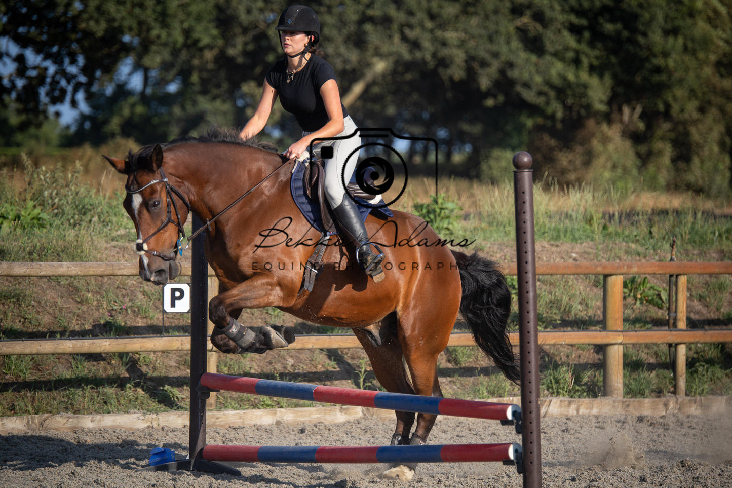 Home Farm Clear Round Jumping- 29th July 2026