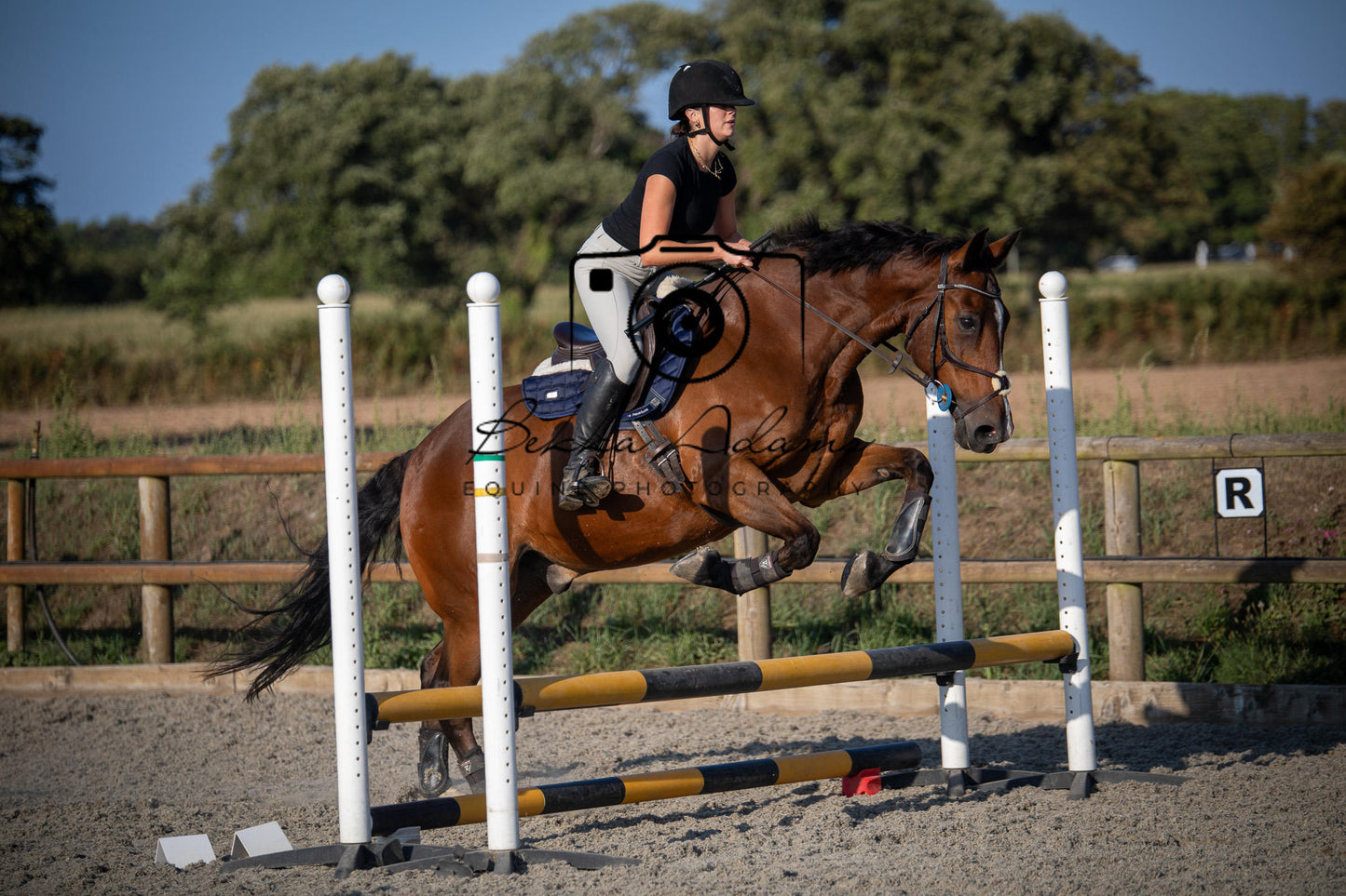 Home Farm Clear Round Jumping- 29th July 2026