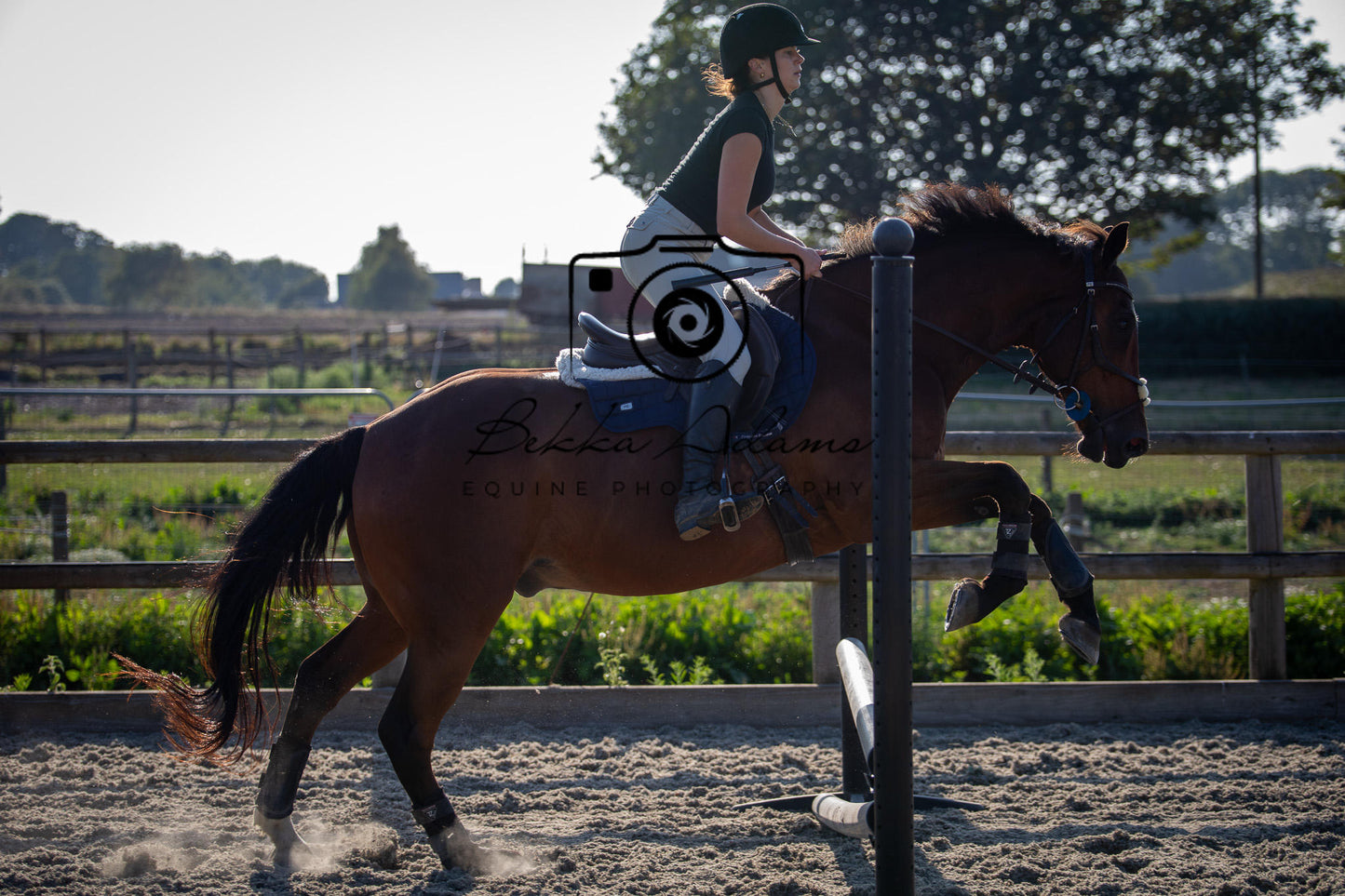 Home Farm Clear Round Jumping- 29th July 2026