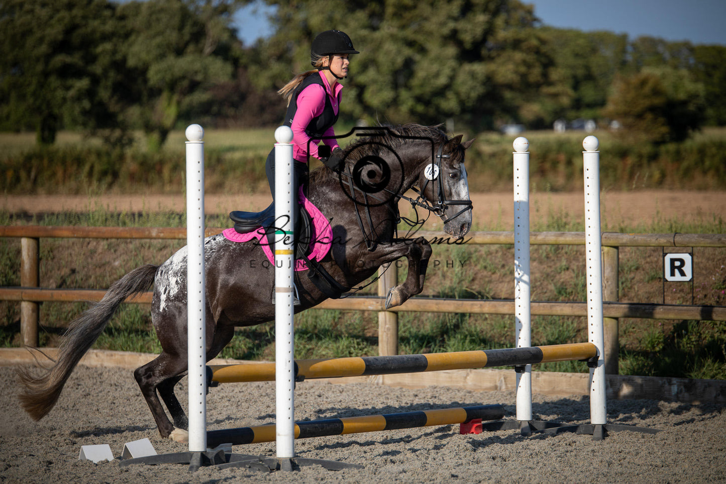 Home Farm Clear Round Jumping- 29th July 2026