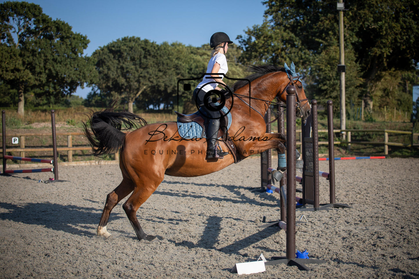 Home Farm Clear Round Jumping- 29th July 2026