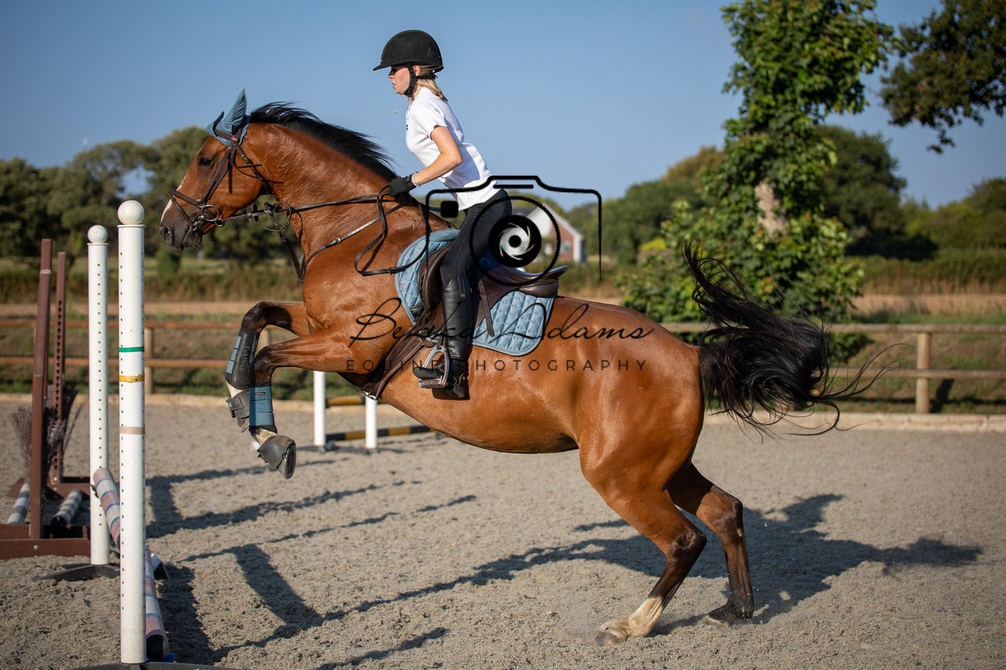 Home Farm Clear Round Jumping- 29th July 2026