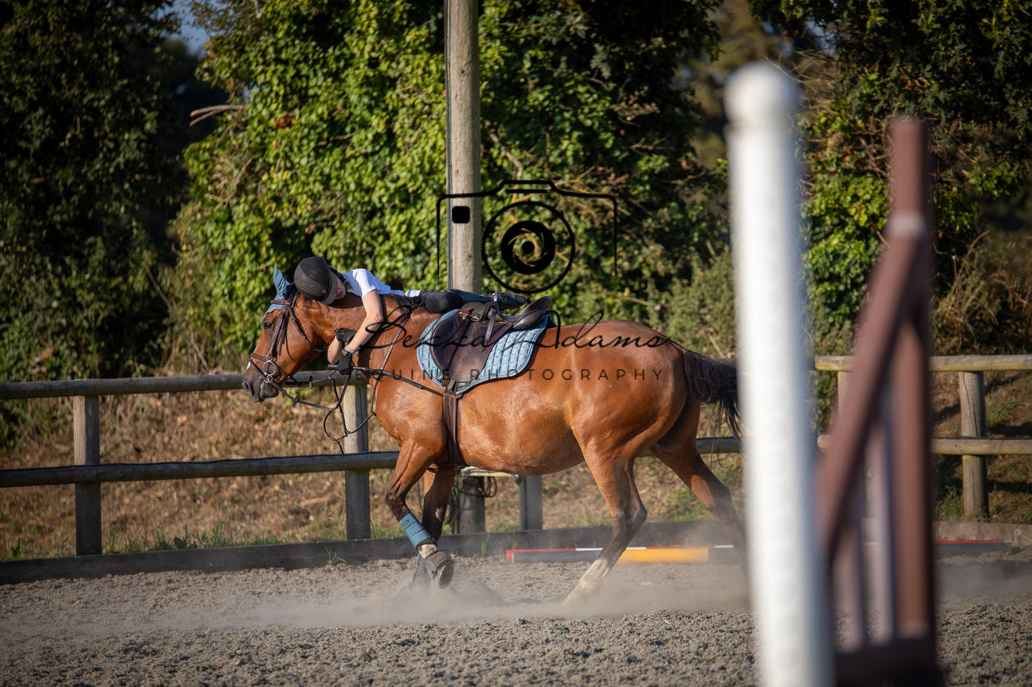 Home Farm Clear Round Jumping- 29th July 2026
