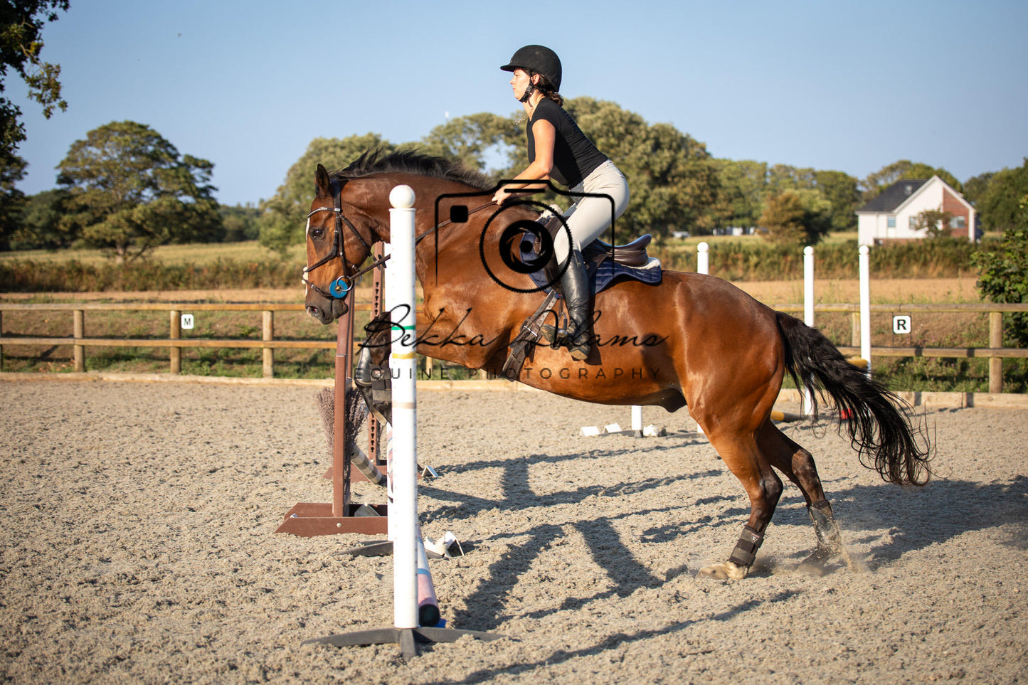 Home Farm Clear Round Jumping- 29th July 2026
