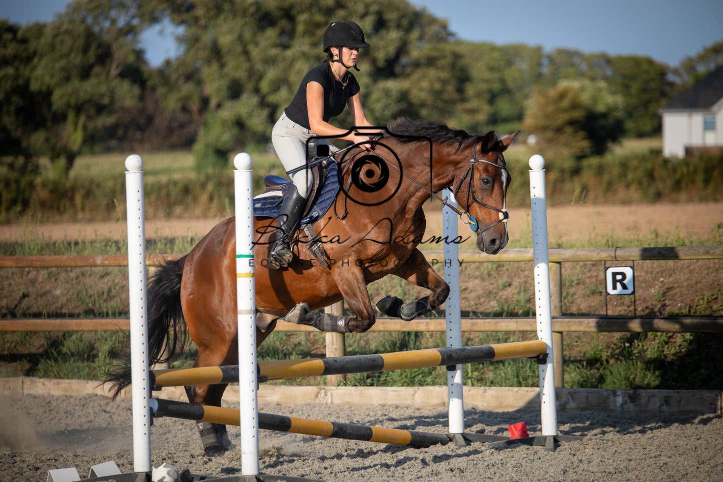 Home Farm Clear Round Jumping- 29th July 2026