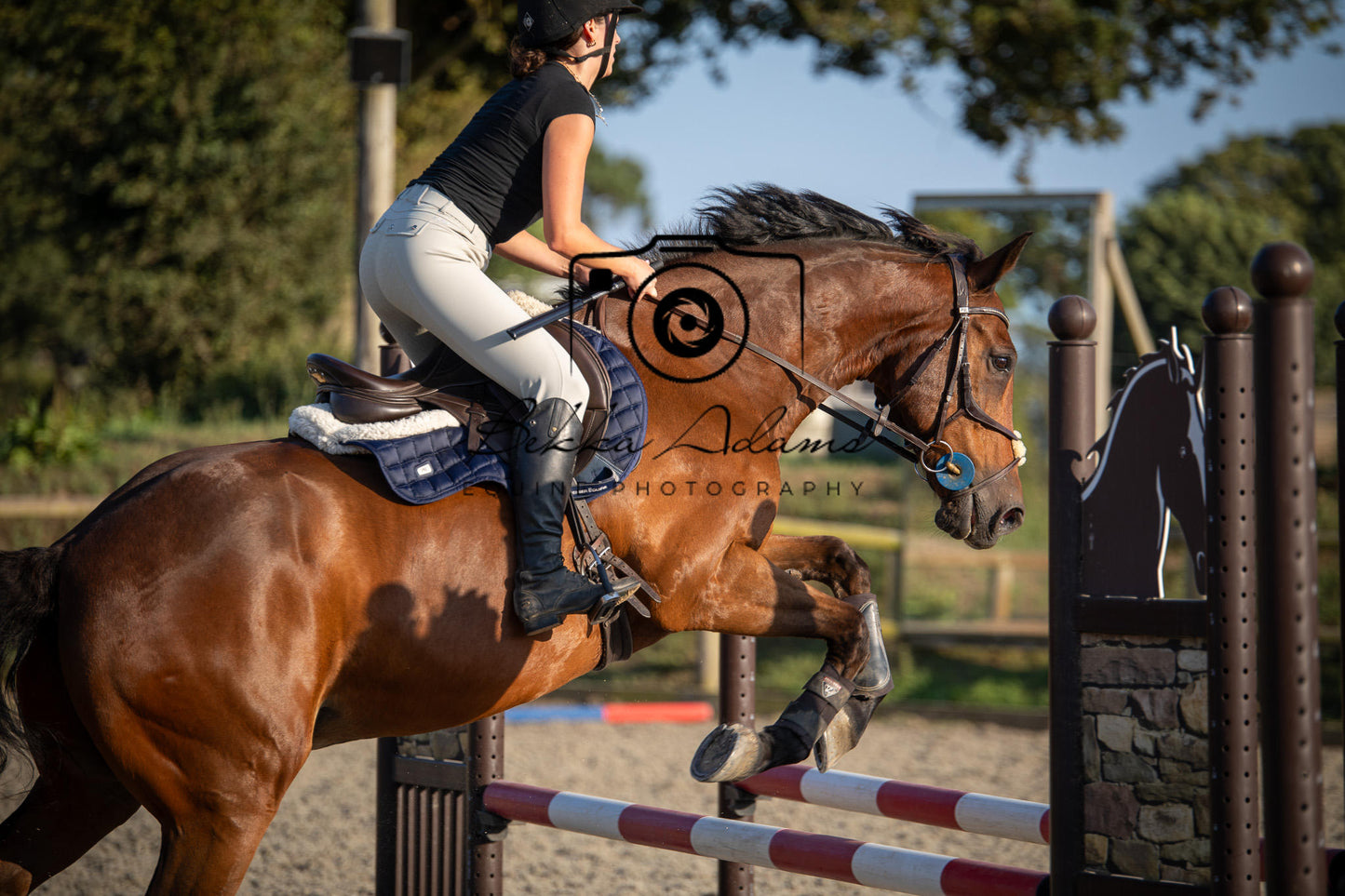 Home Farm Clear Round Jumping- 29th July 2026