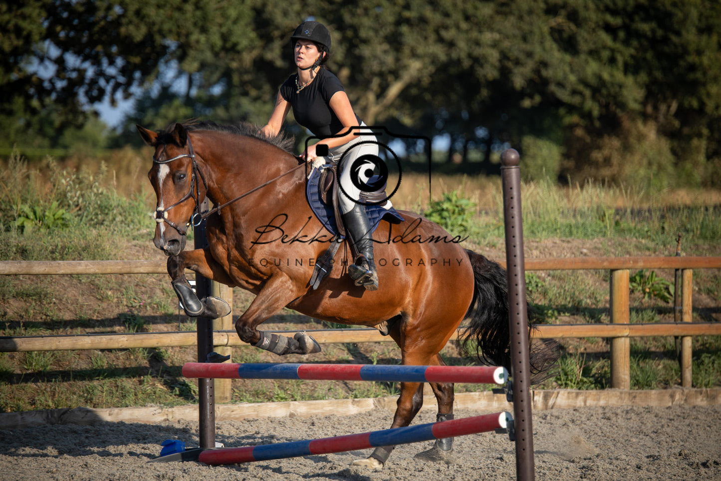 Home Farm Clear Round Jumping- 29th July 2026