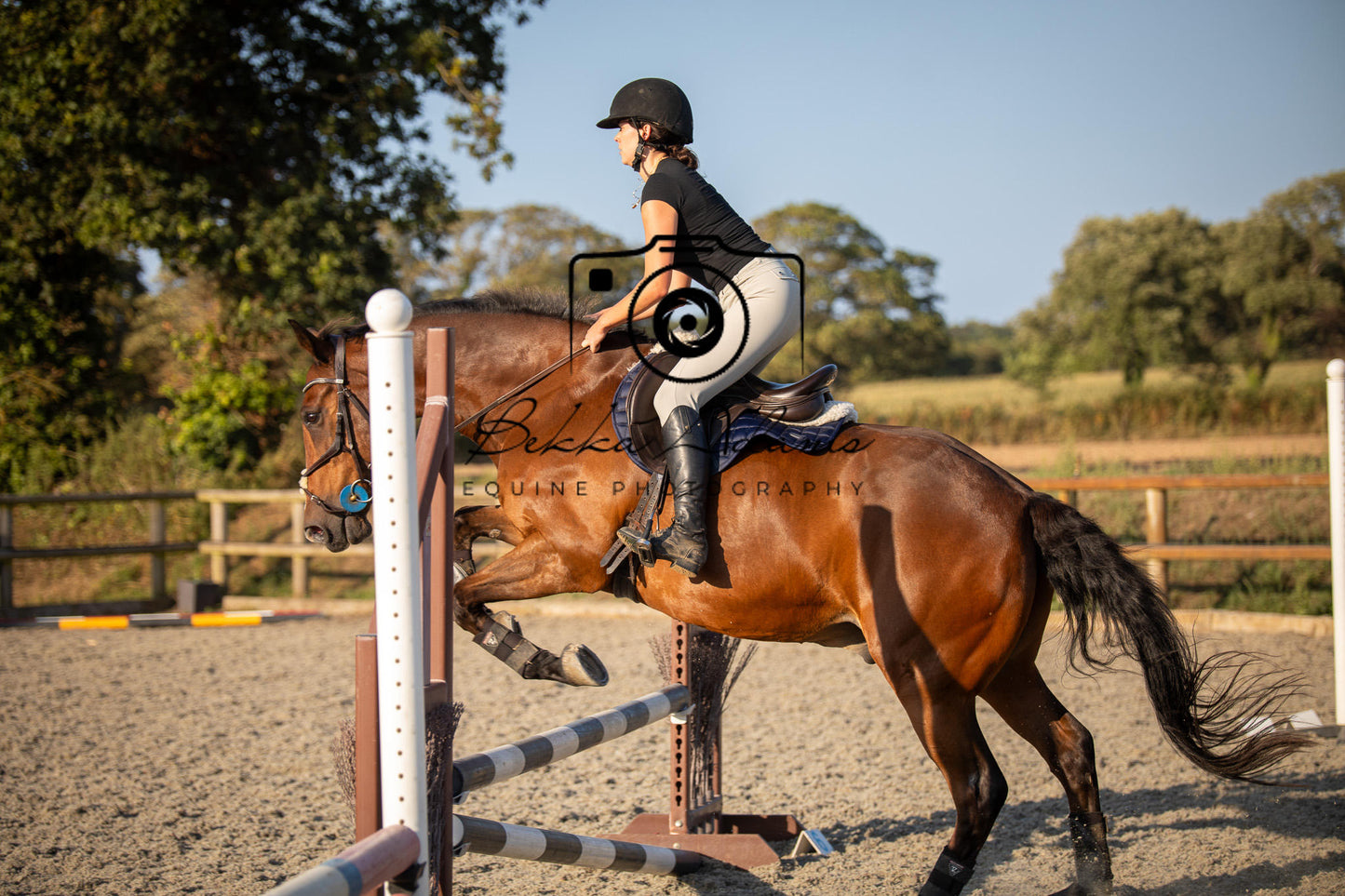 Home Farm Clear Round Jumping- 29th July 2026