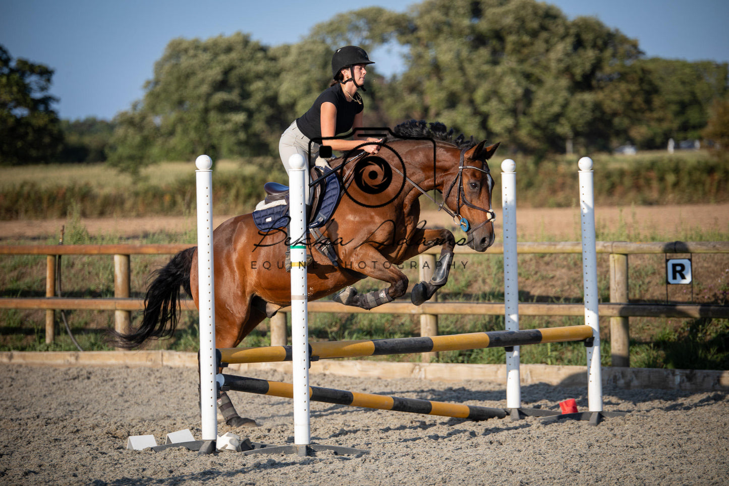 Home Farm Clear Round Jumping- 29th July 2026