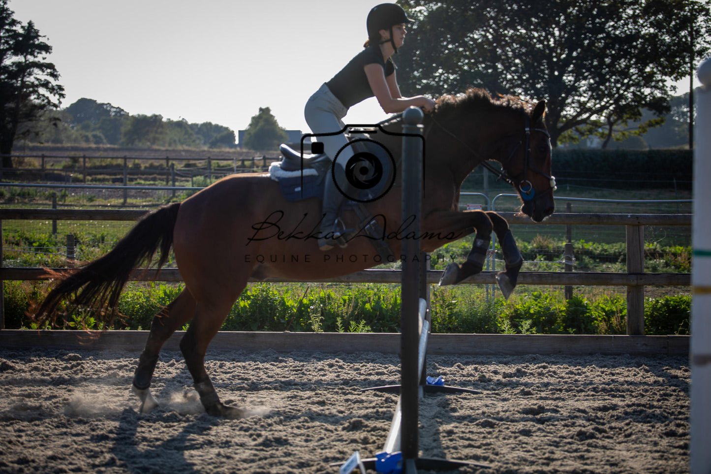 Home Farm Clear Round Jumping- 29th July 2026