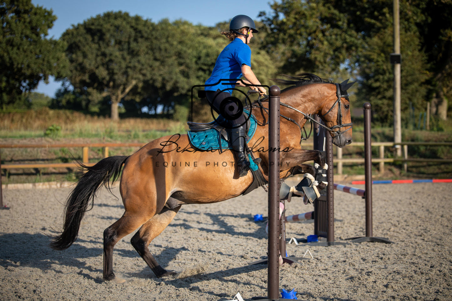Home Farm Clear Round Jumping- 29th July 2026