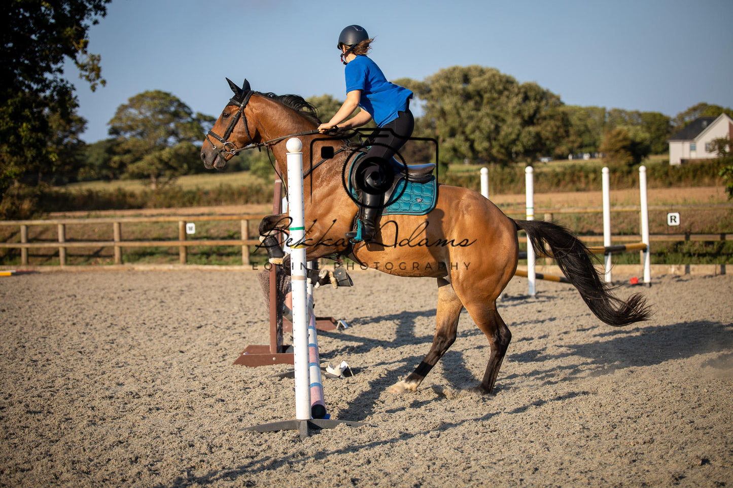Home Farm Clear Round Jumping- 29th July 2026