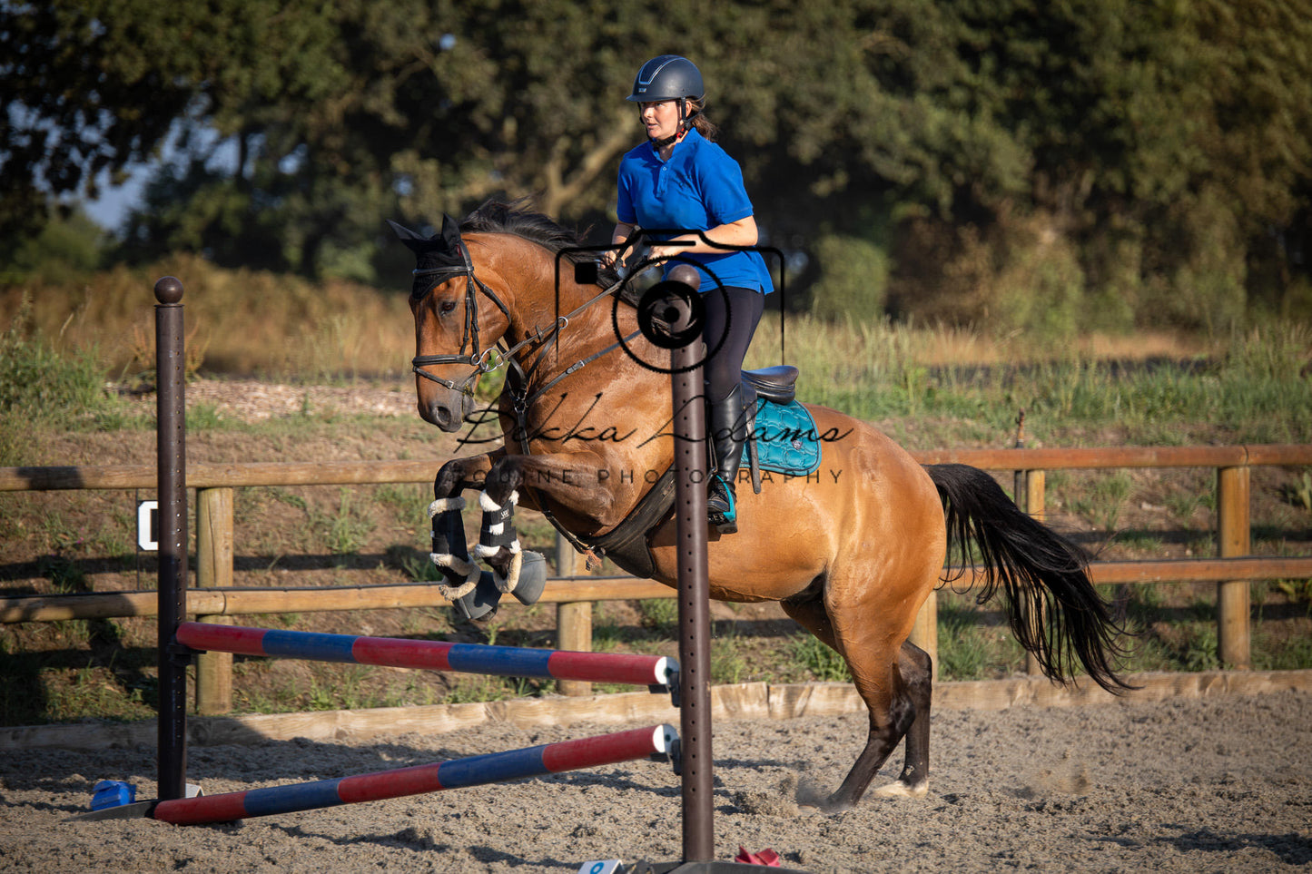 Home Farm Clear Round Jumping- 29th July 2026