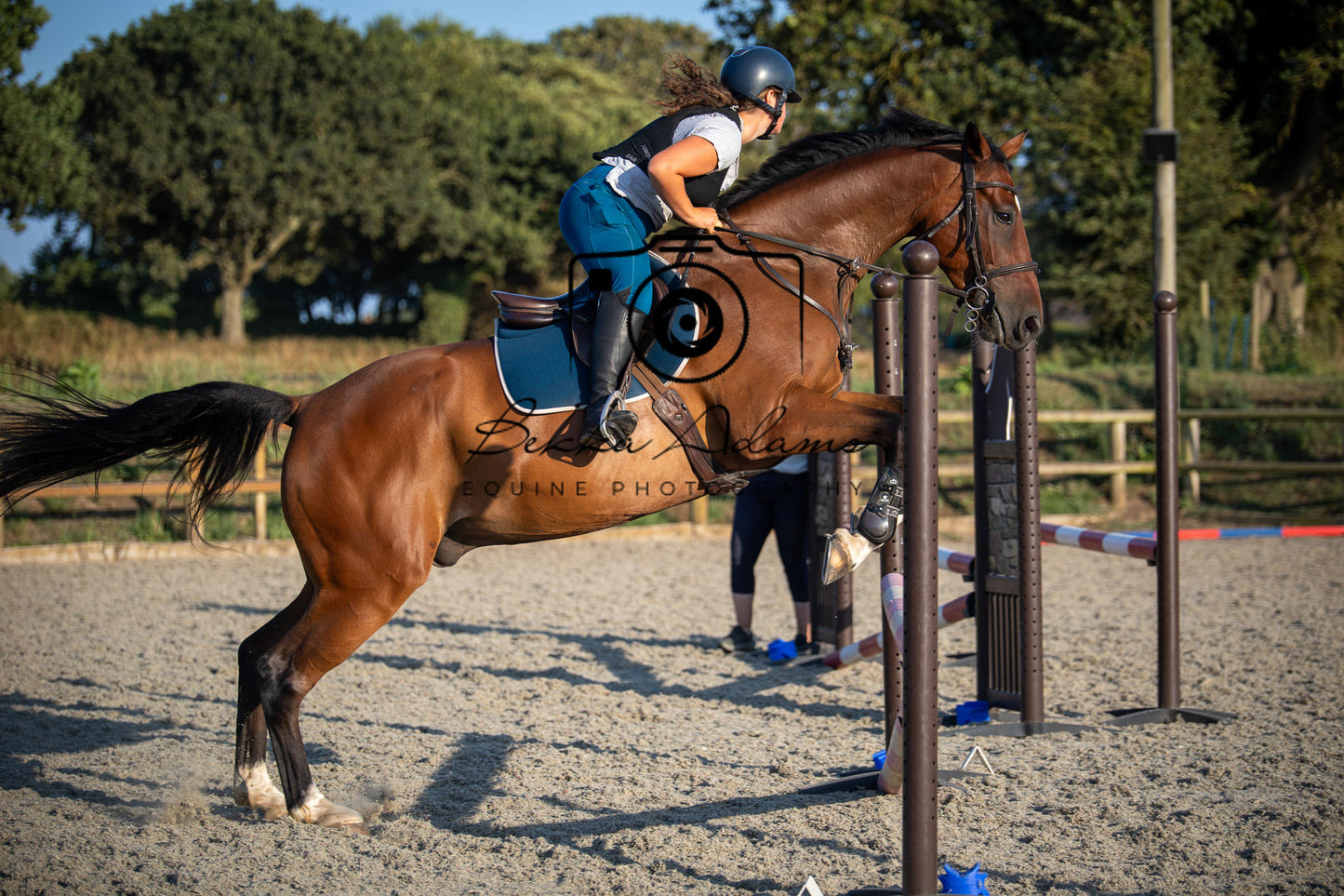 Home Farm Clear Round Jumping- 29th July 2026