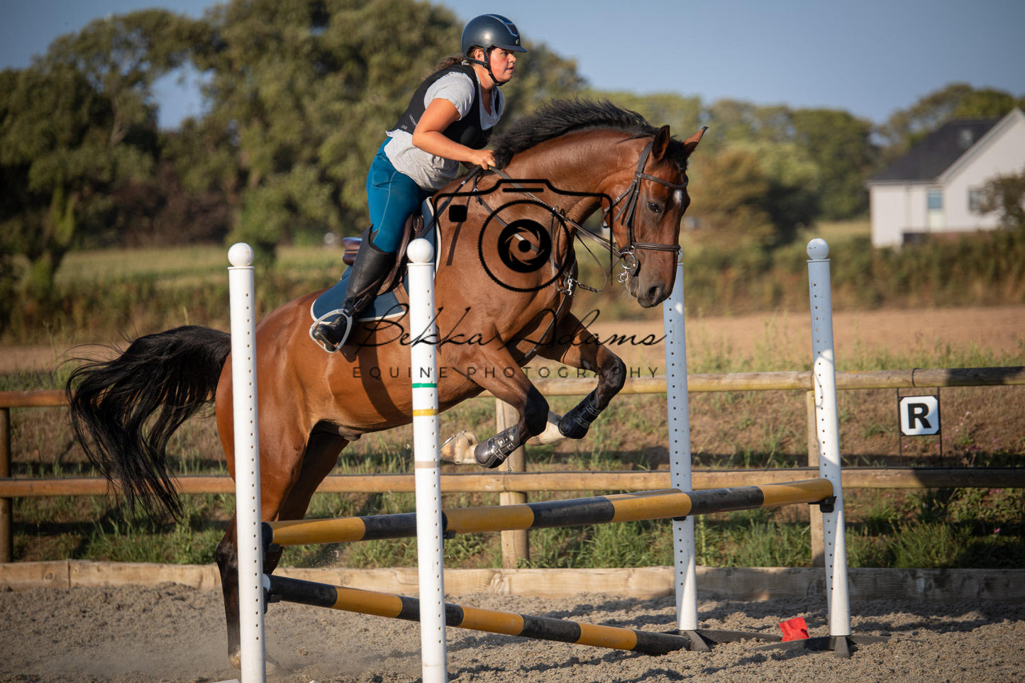 Home Farm Clear Round Jumping- 29th July 2026