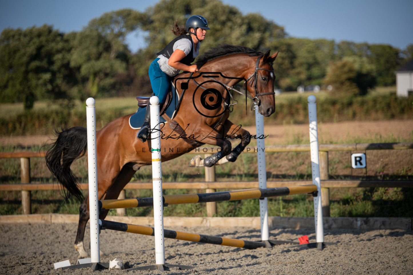 Home Farm Clear Round Jumping- 29th July 2026
