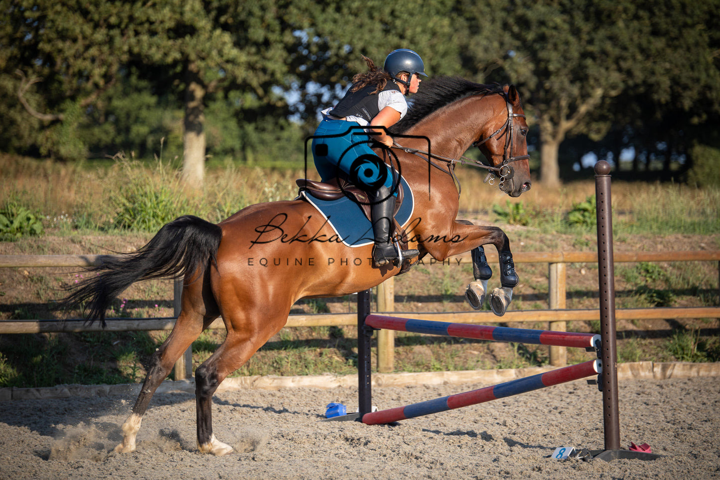 Home Farm Clear Round Jumping- 29th July 2026