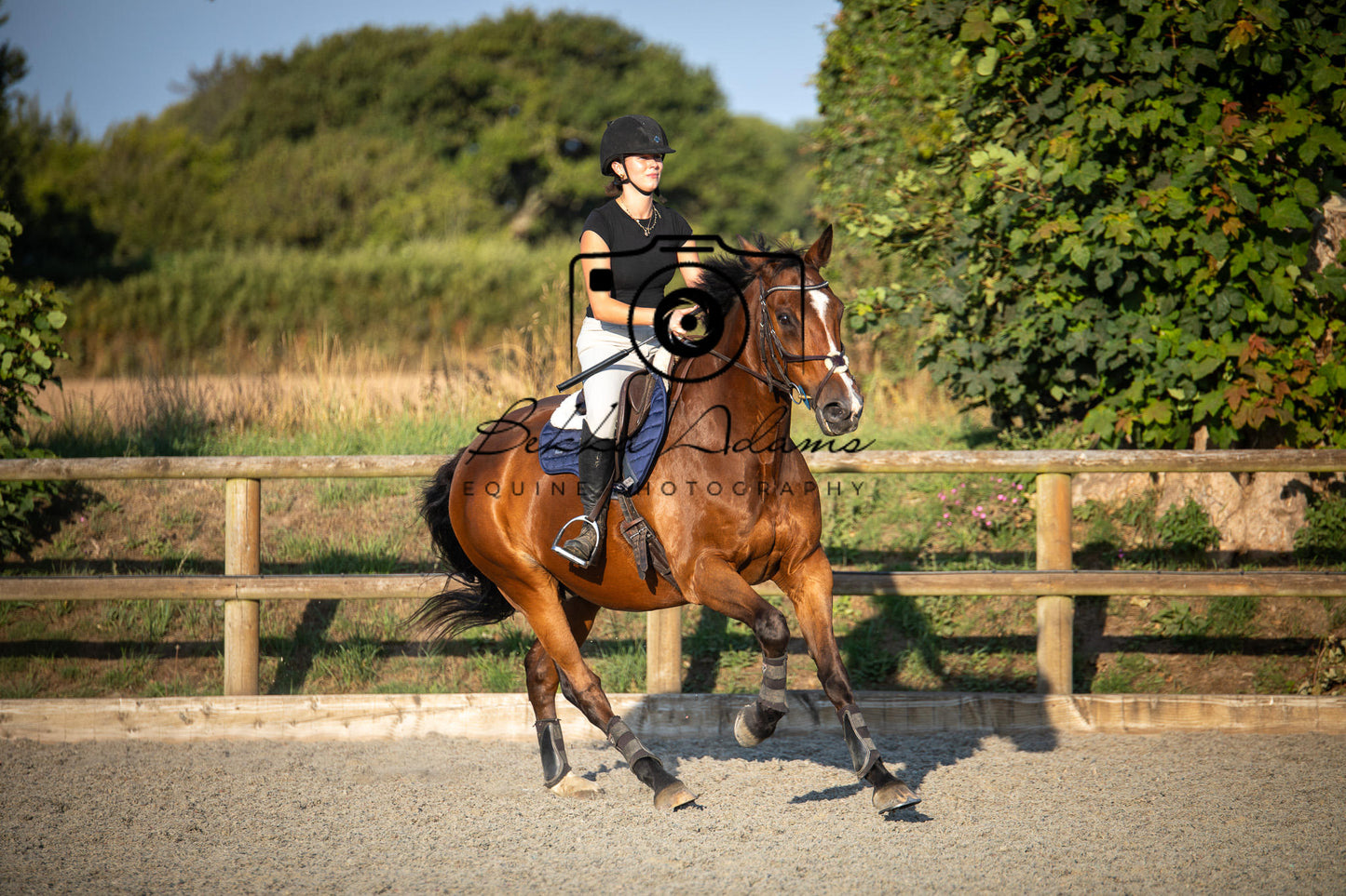Home Farm Clear Round Jumping- 29th July 2026