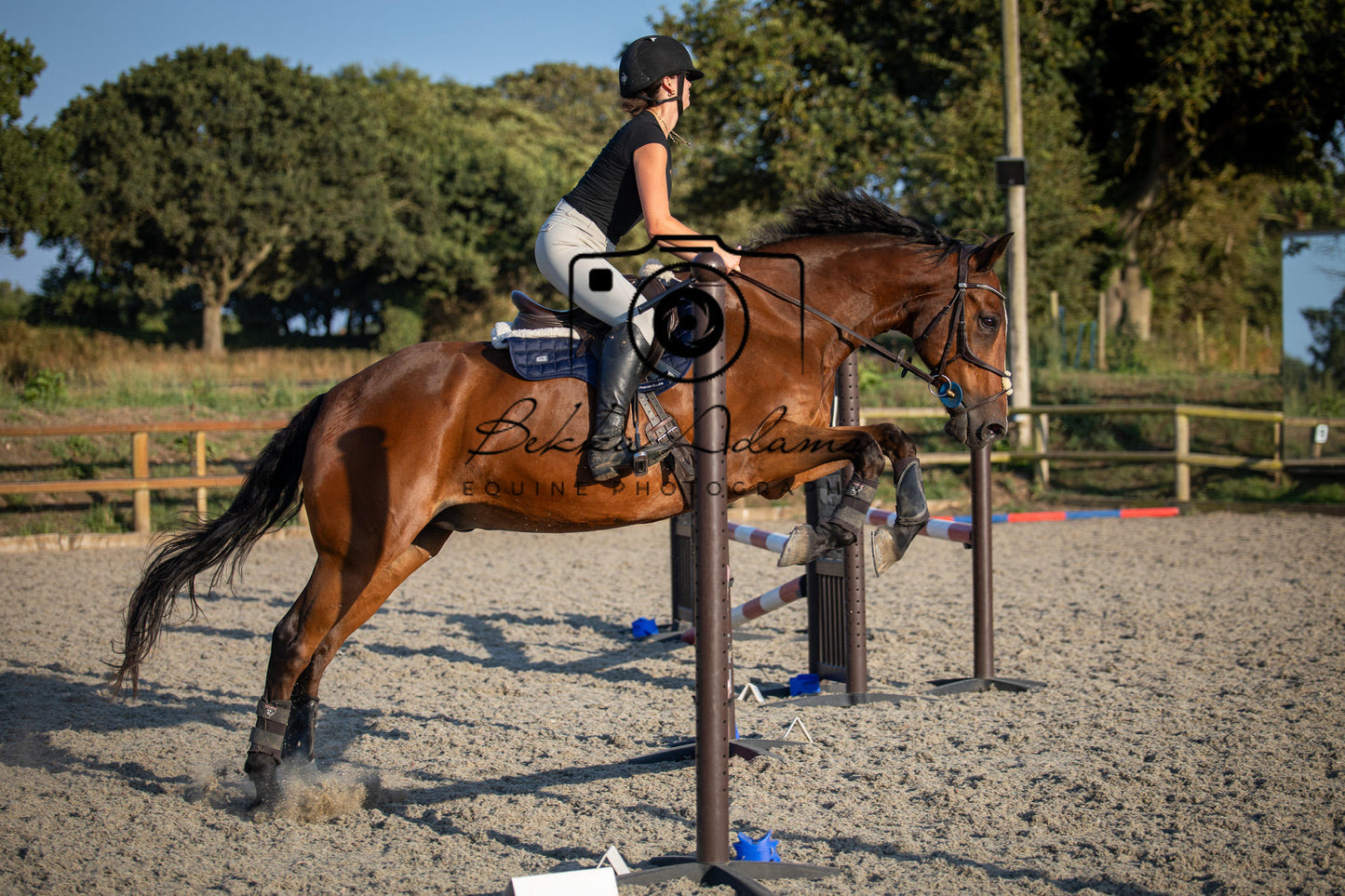 Home Farm Clear Round Jumping- 29th July 2026