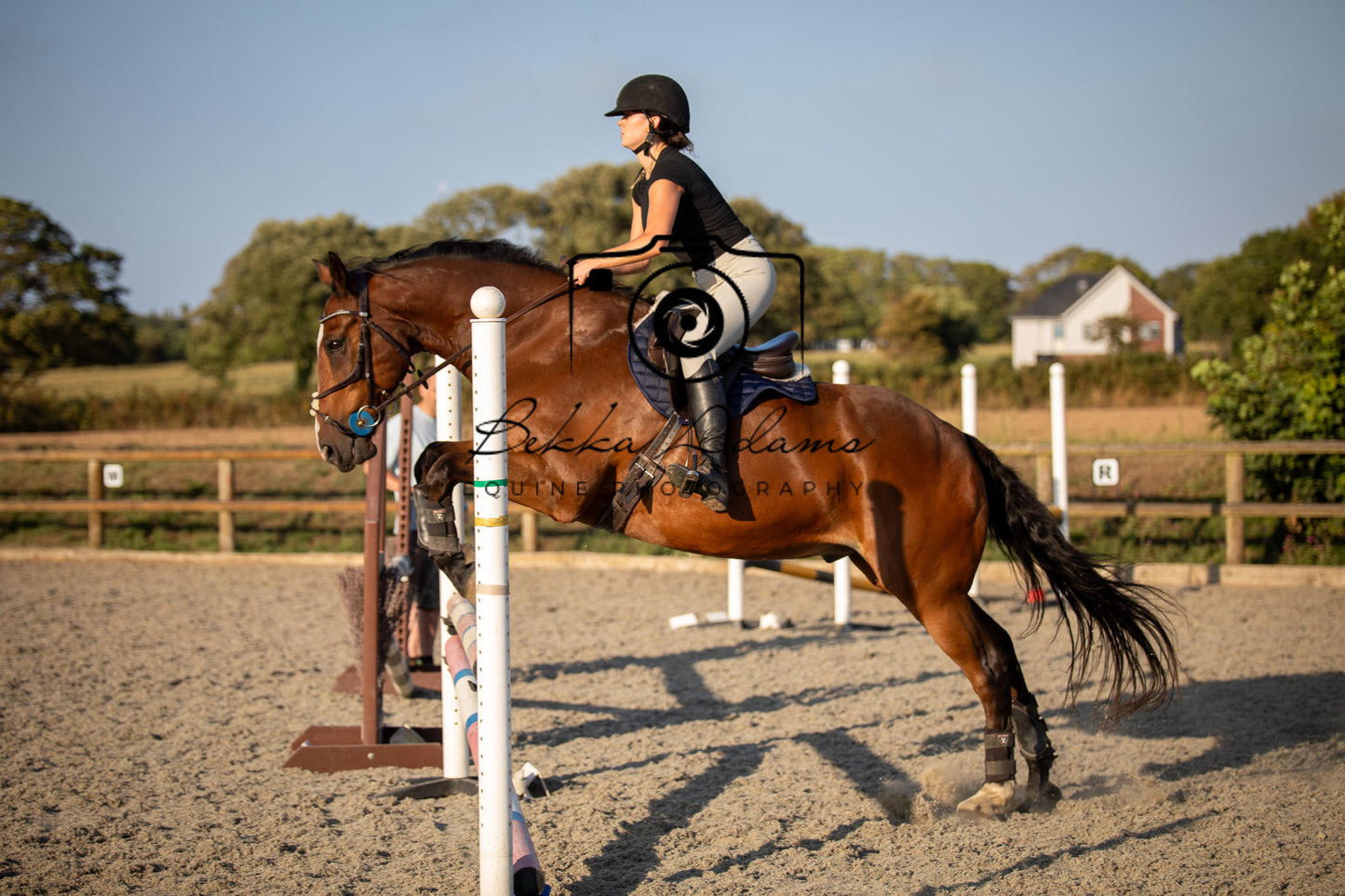Home Farm Clear Round Jumping- 29th July 2026