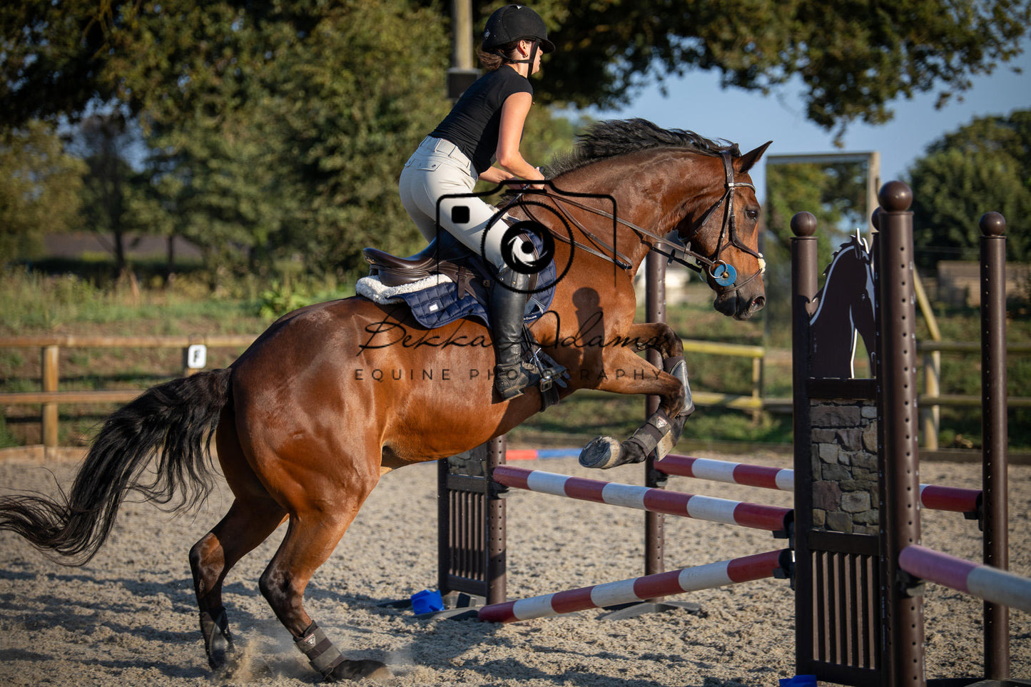 Home Farm Clear Round Jumping- 29th July 2026