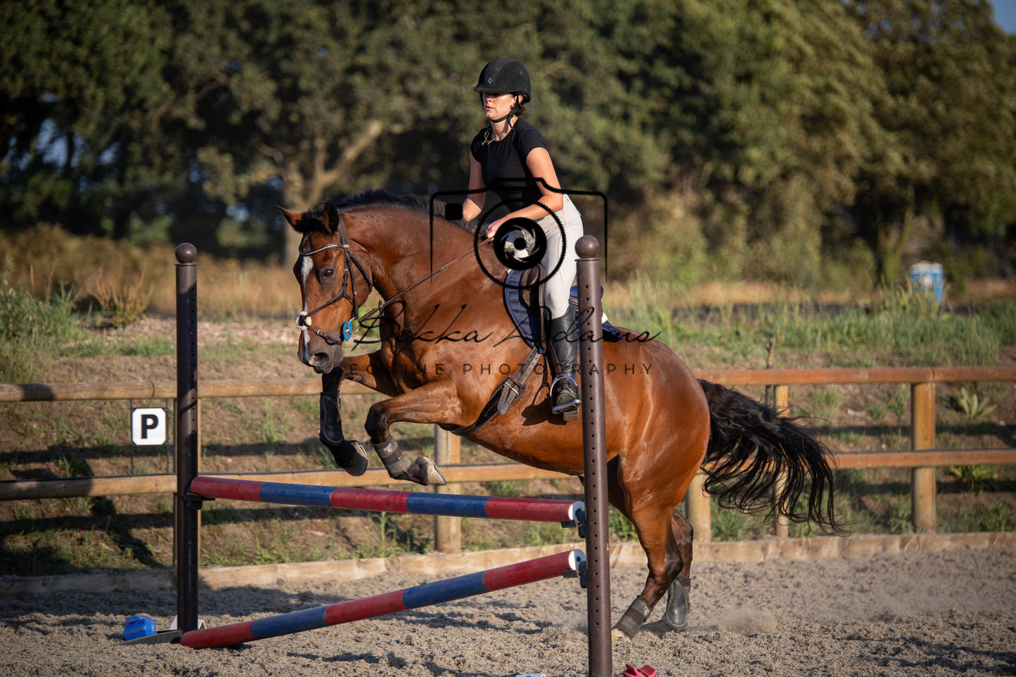 Home Farm Clear Round Jumping- 29th July 2026