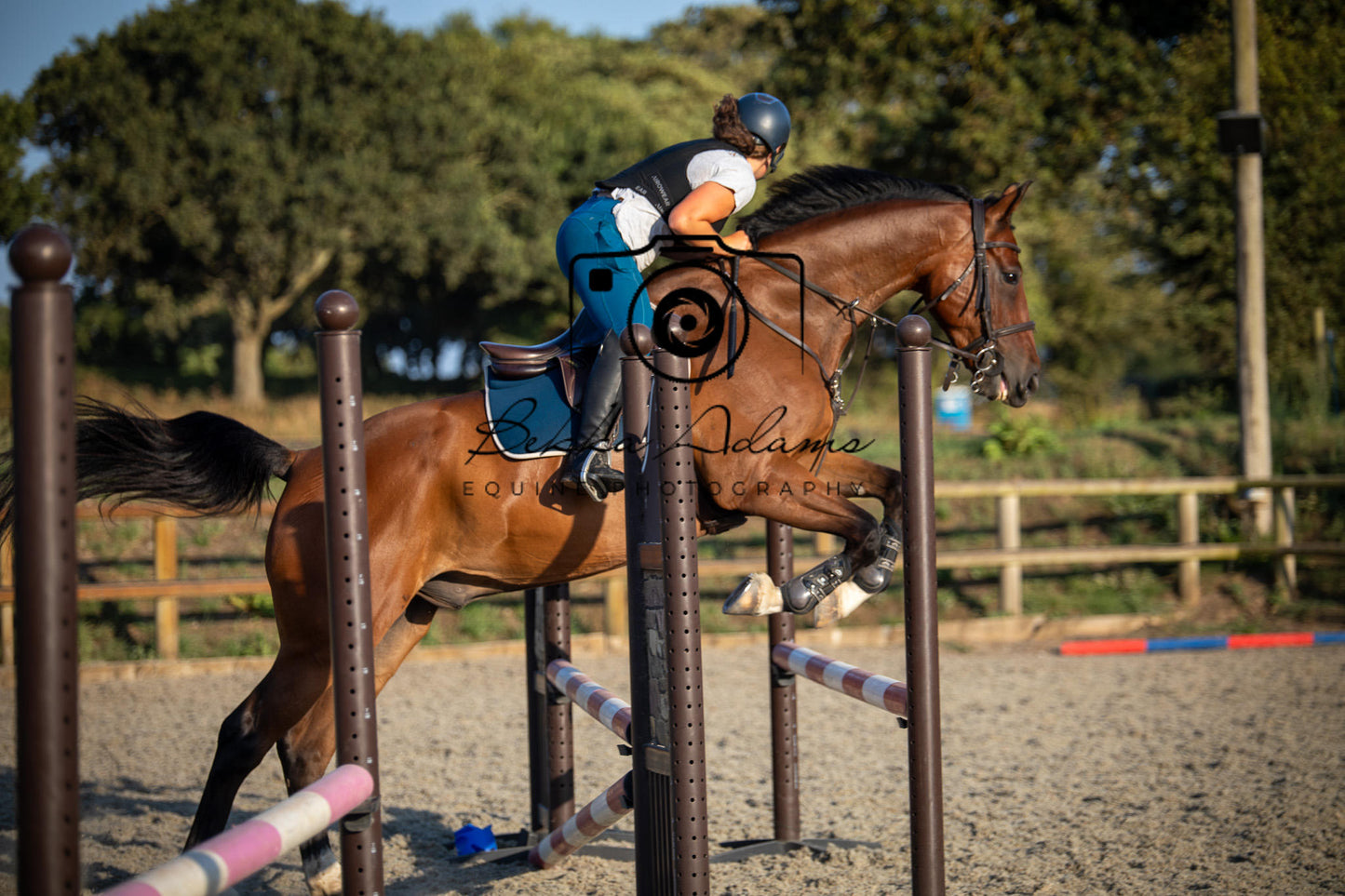 Home Farm Clear Round Jumping- 29th July 2026