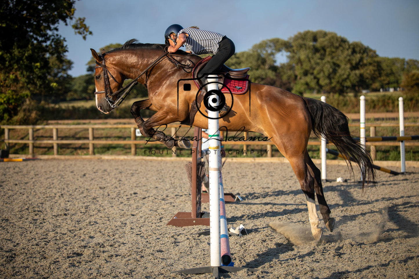 Home Farm Clear Round Jumping- 29th July 2026