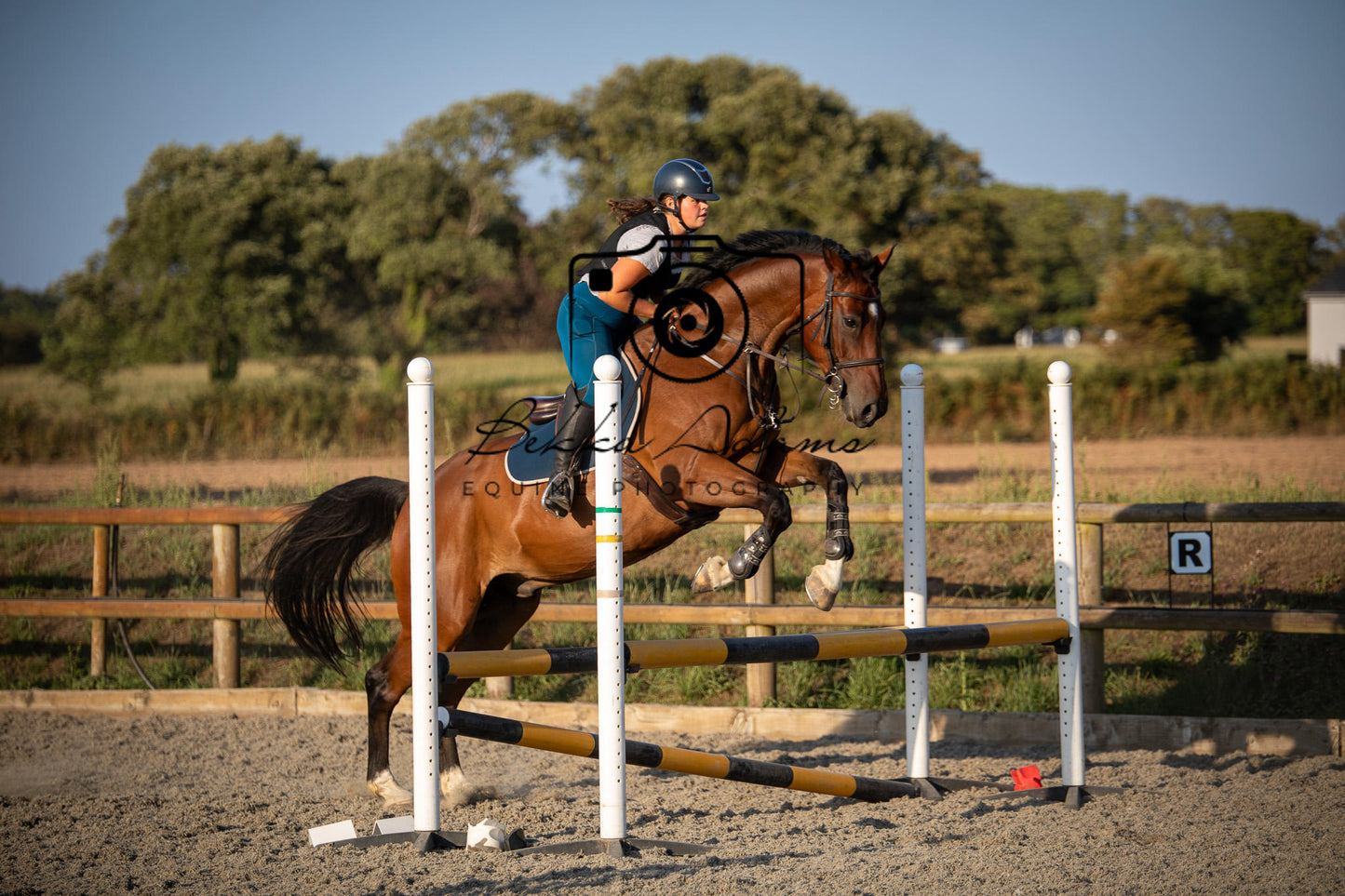 Home Farm Clear Round Jumping- 29th July 2026
