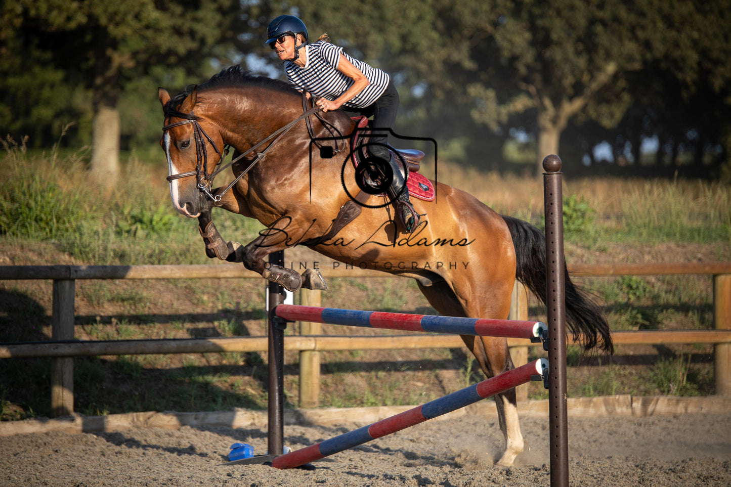 Home Farm Clear Round Jumping- 29th July 2026