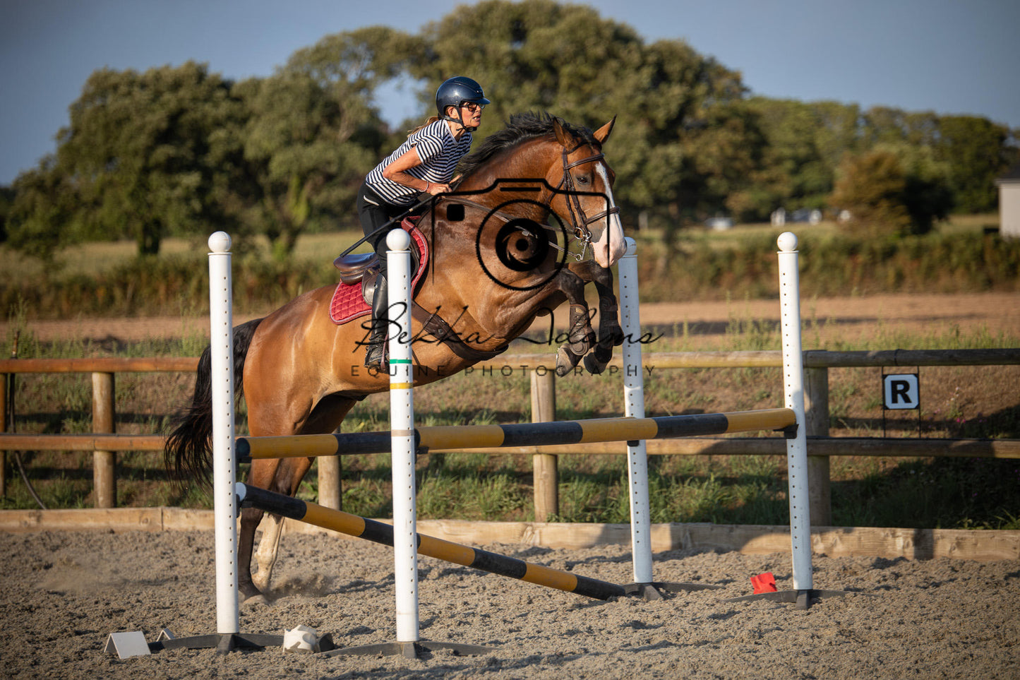 Home Farm Clear Round Jumping- 29th July 2026