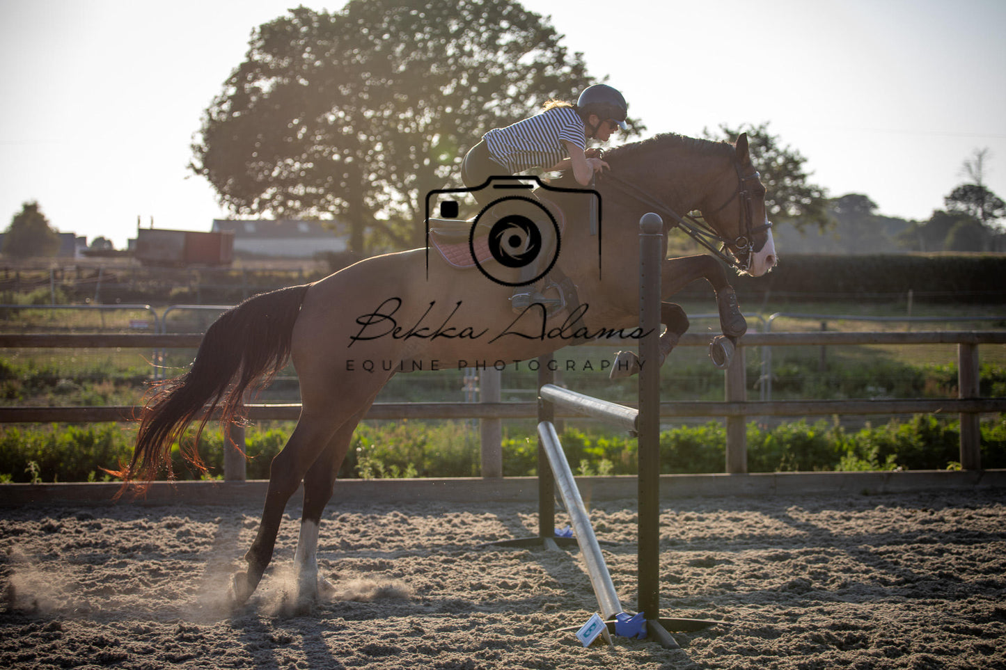 Home Farm Clear Round Jumping- 29th July 2026