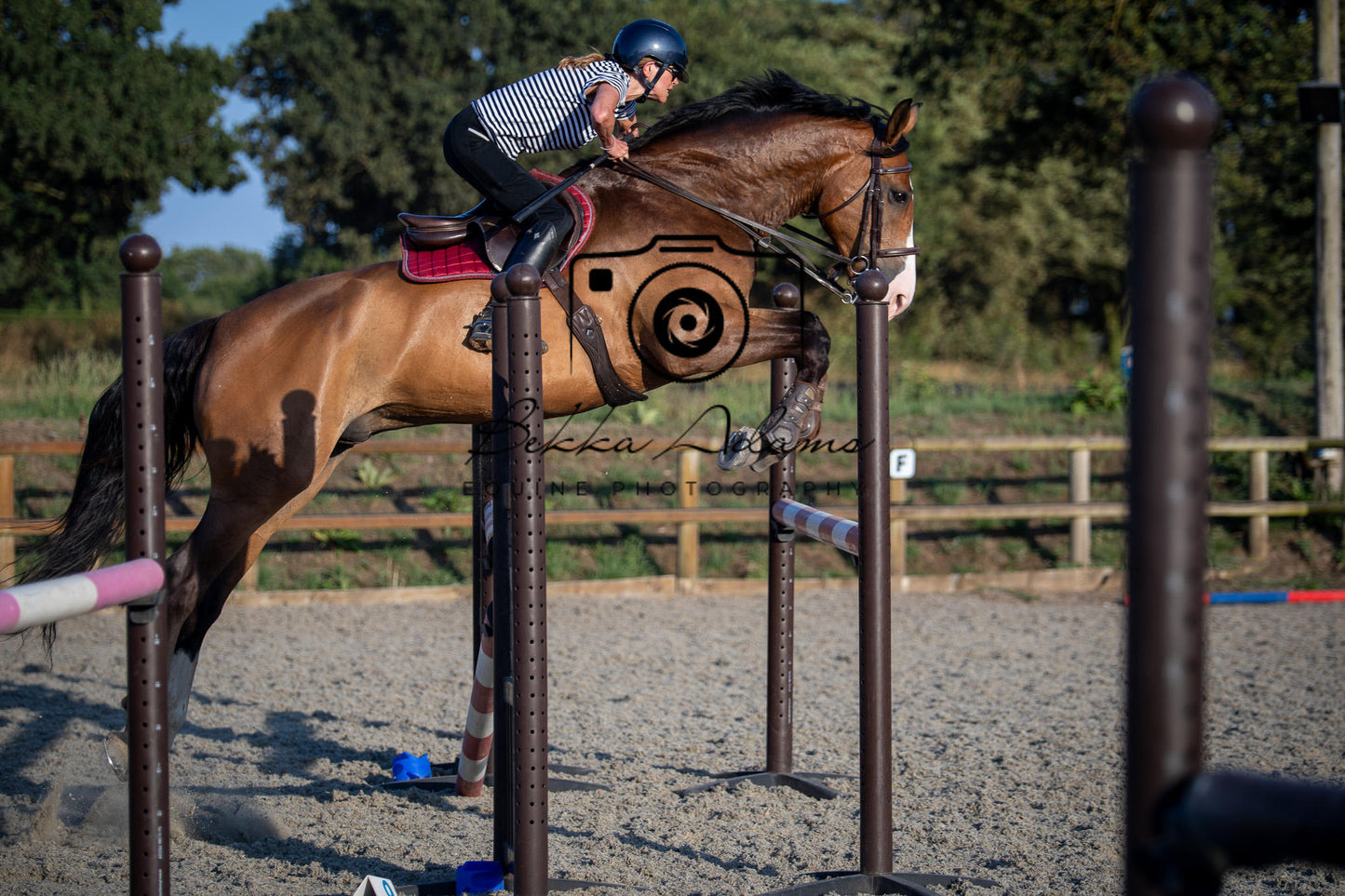 Home Farm Clear Round Jumping- 29th July 2026